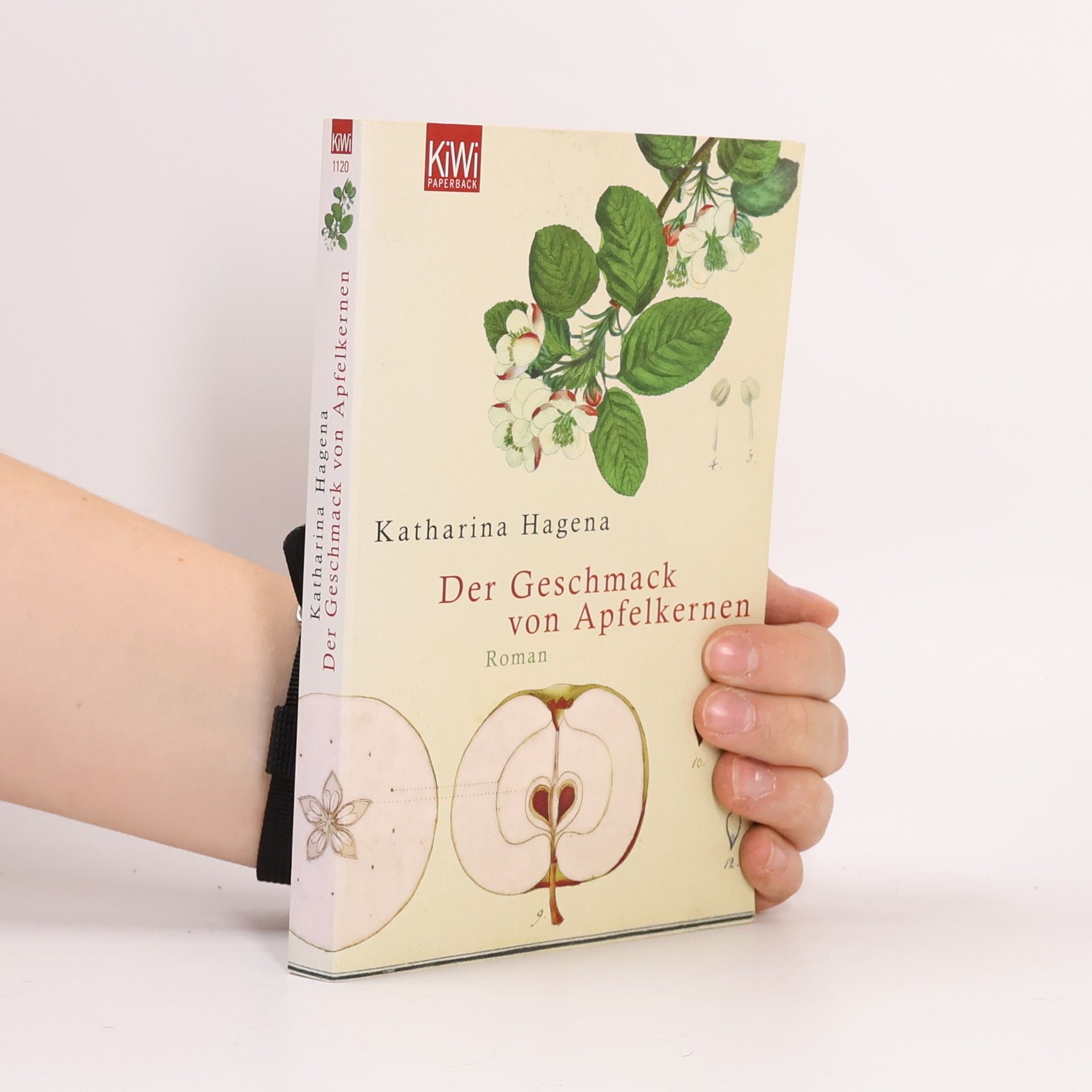 Katharina Hagena Der Geschmack von Apfelkernen