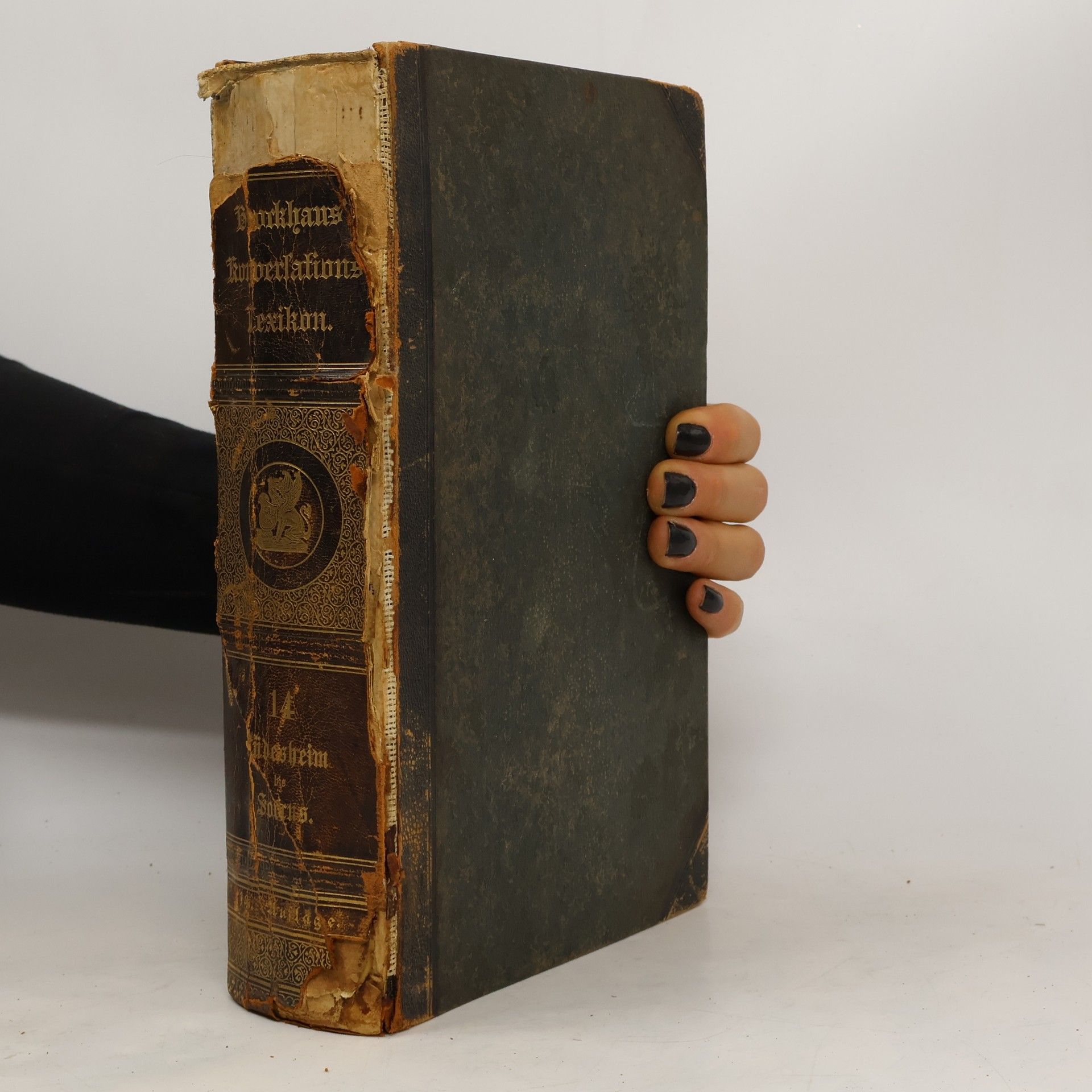 F. A. Brockhaus Brockhaus' Konversations-Lexikon 14