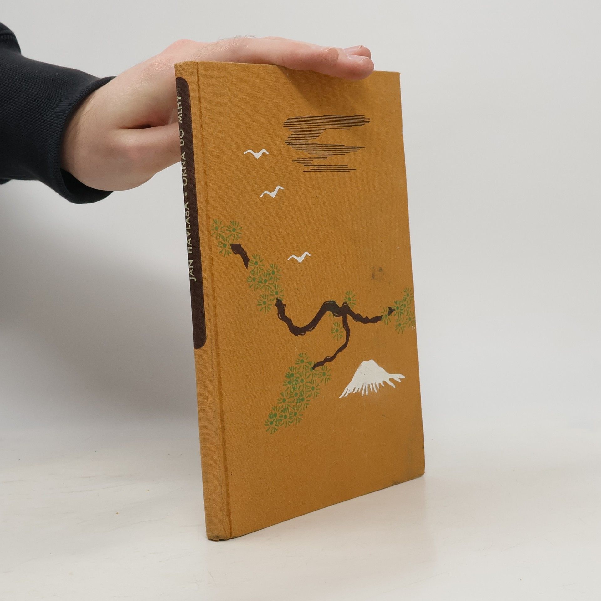 Jan Havlasa Okna do mlhy