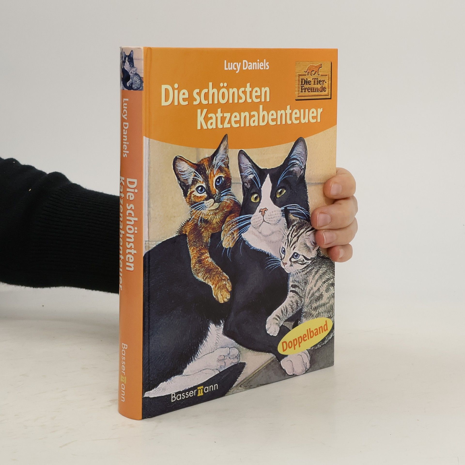 Lucy Daniels Die schönsten Katzenabenteuer