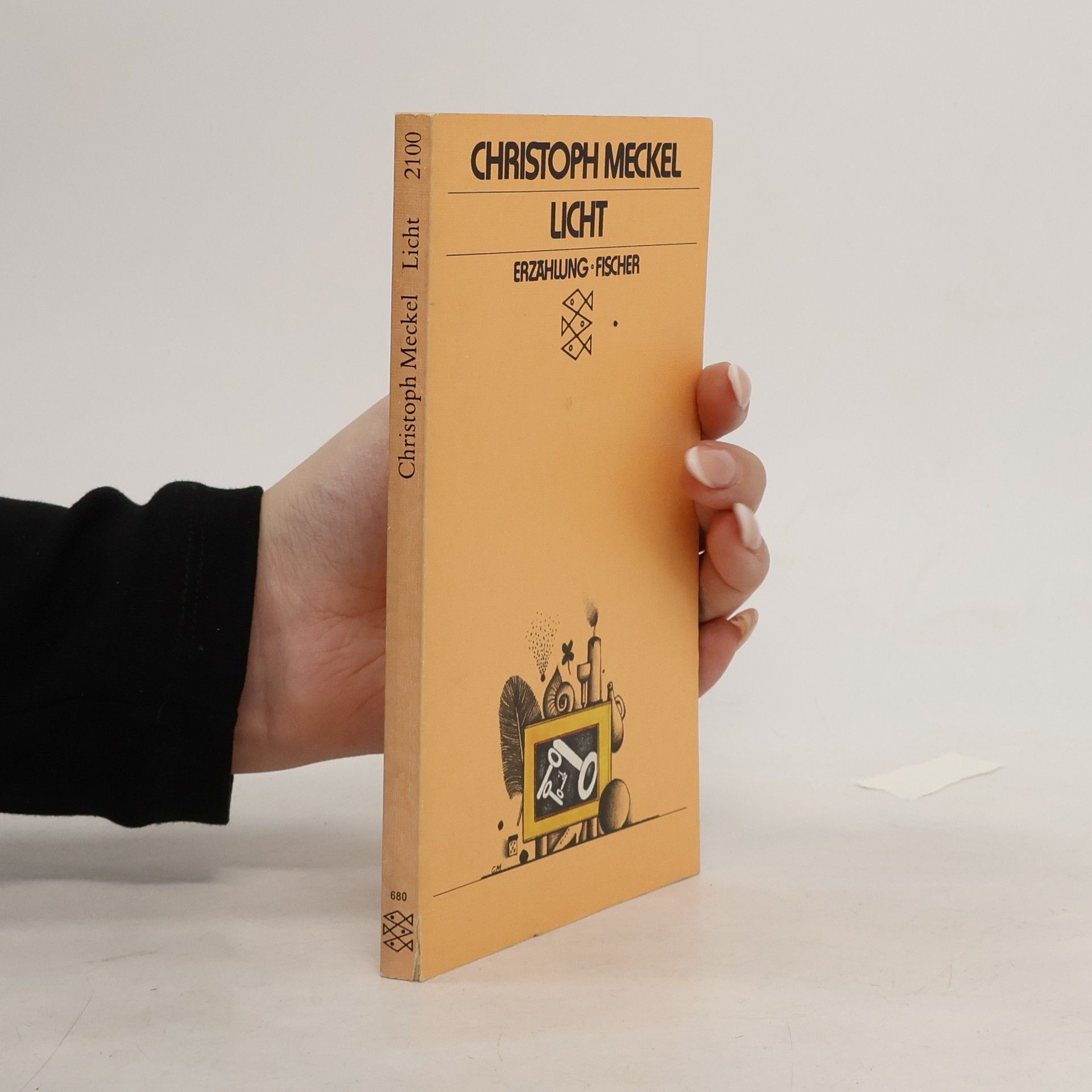 Christoph Meckel Licht