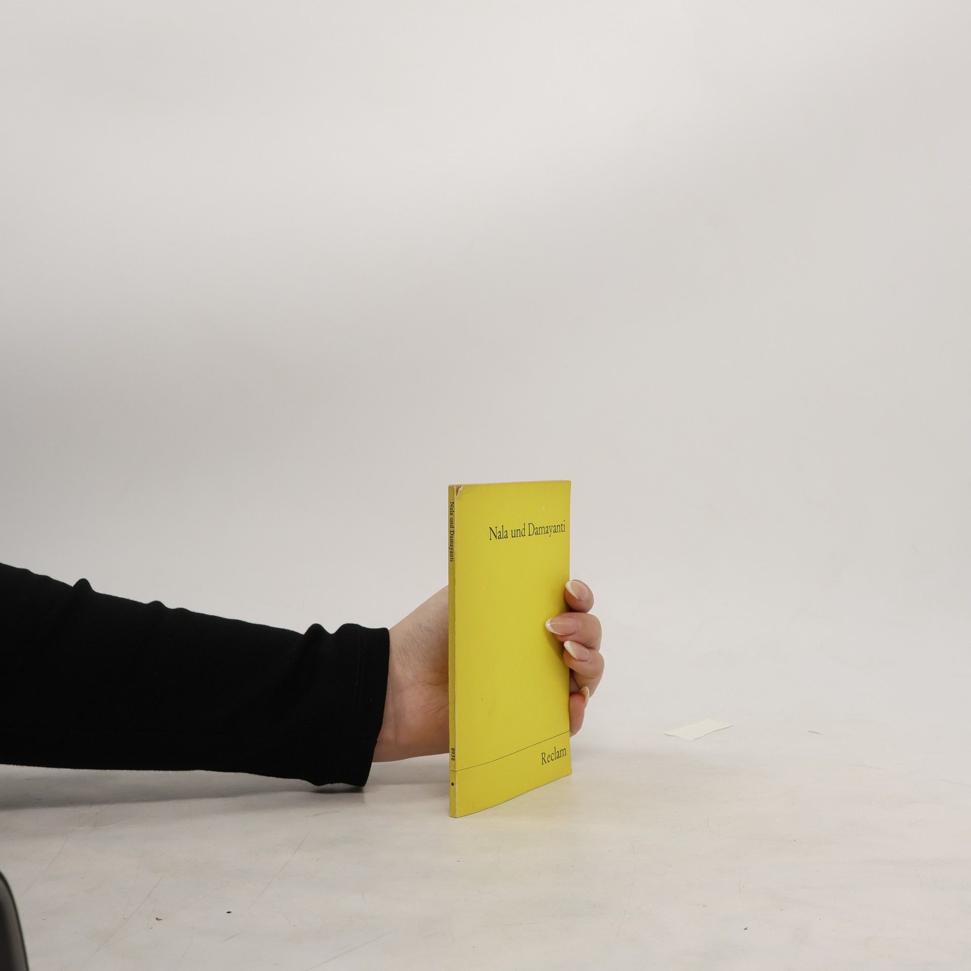 Kolektiv autorů Nela und Damayanti