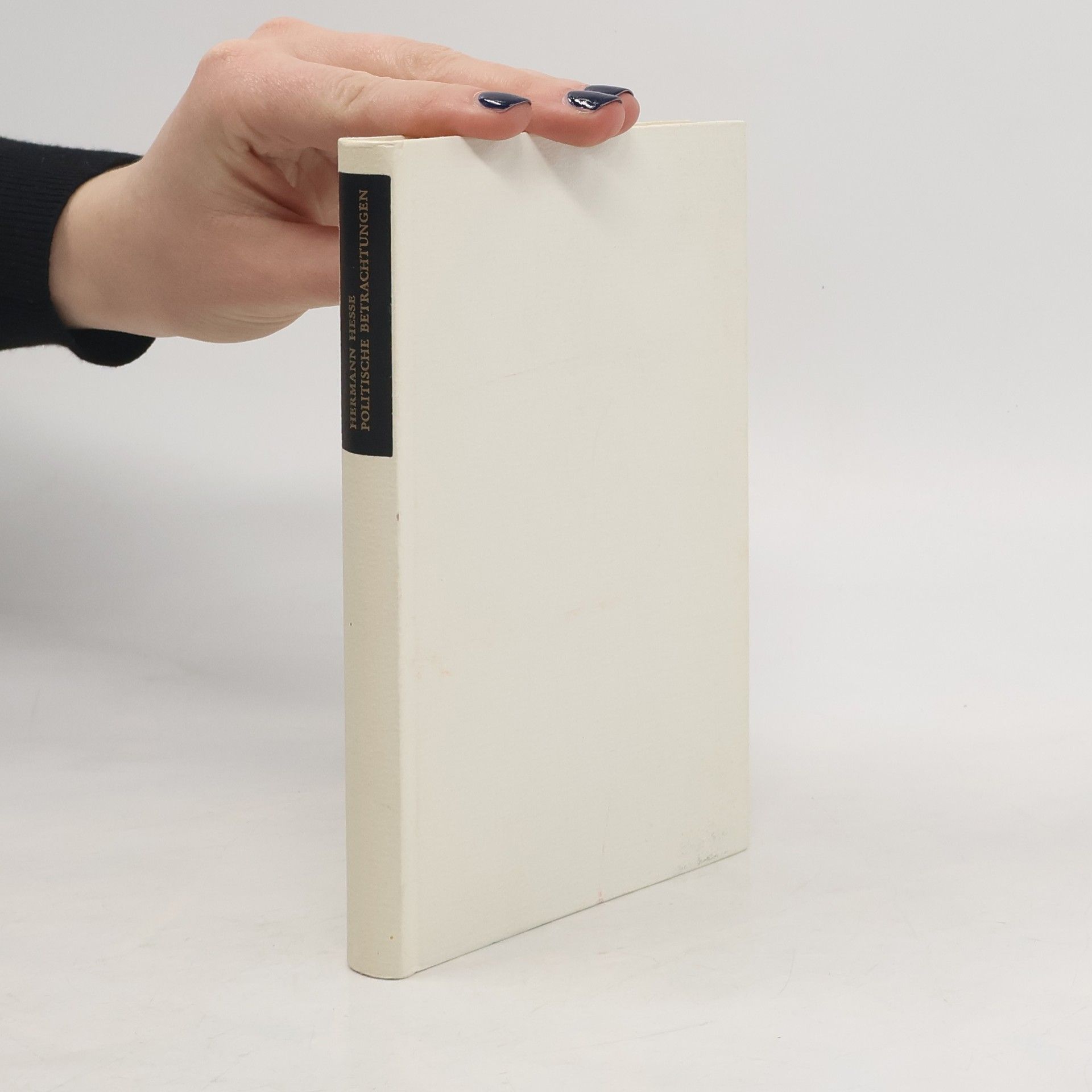 Hermann Hesse Politische Betrachtungen