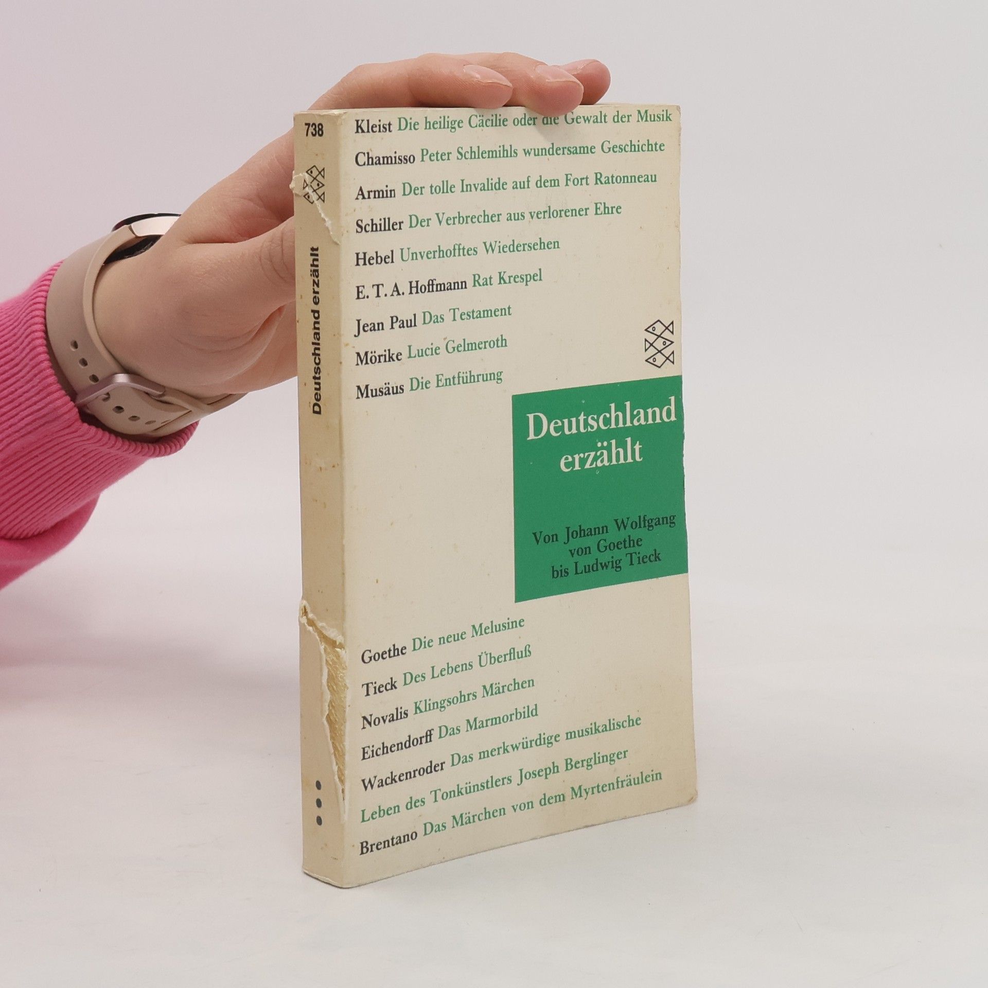 Benno von Wiese Deutschland erzählt : von Goethe bis Tieck