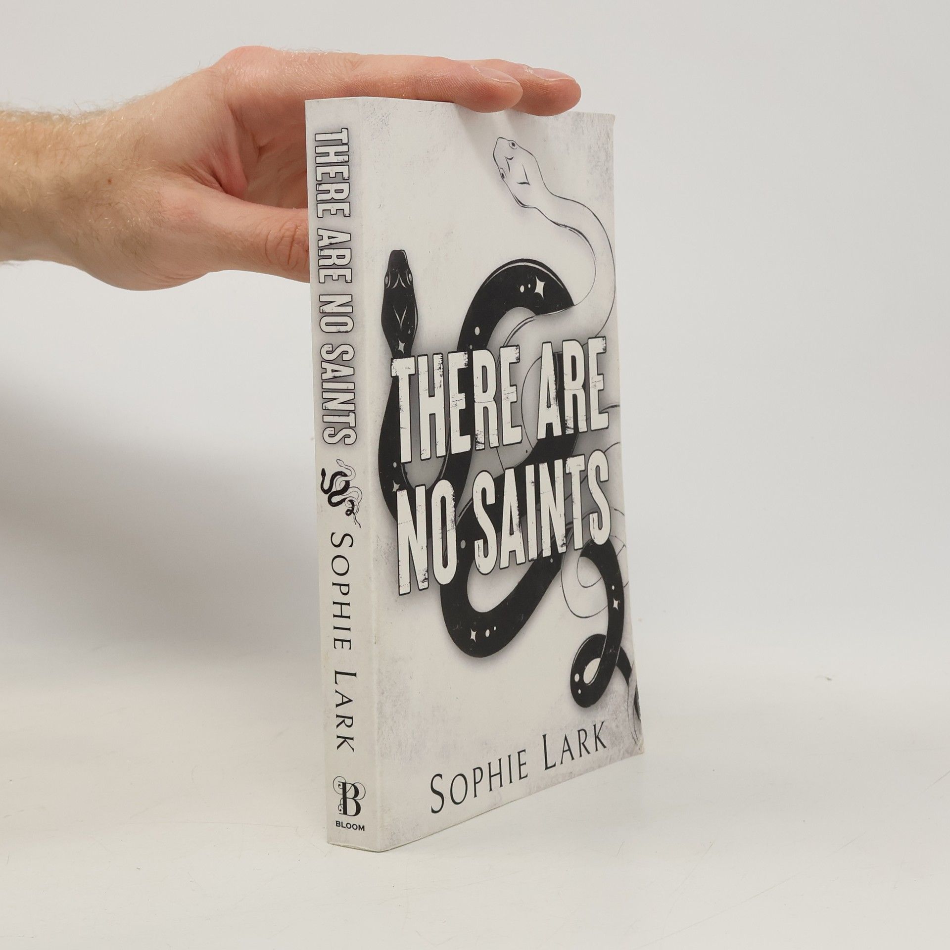 Sophie Lark There Are No Saints