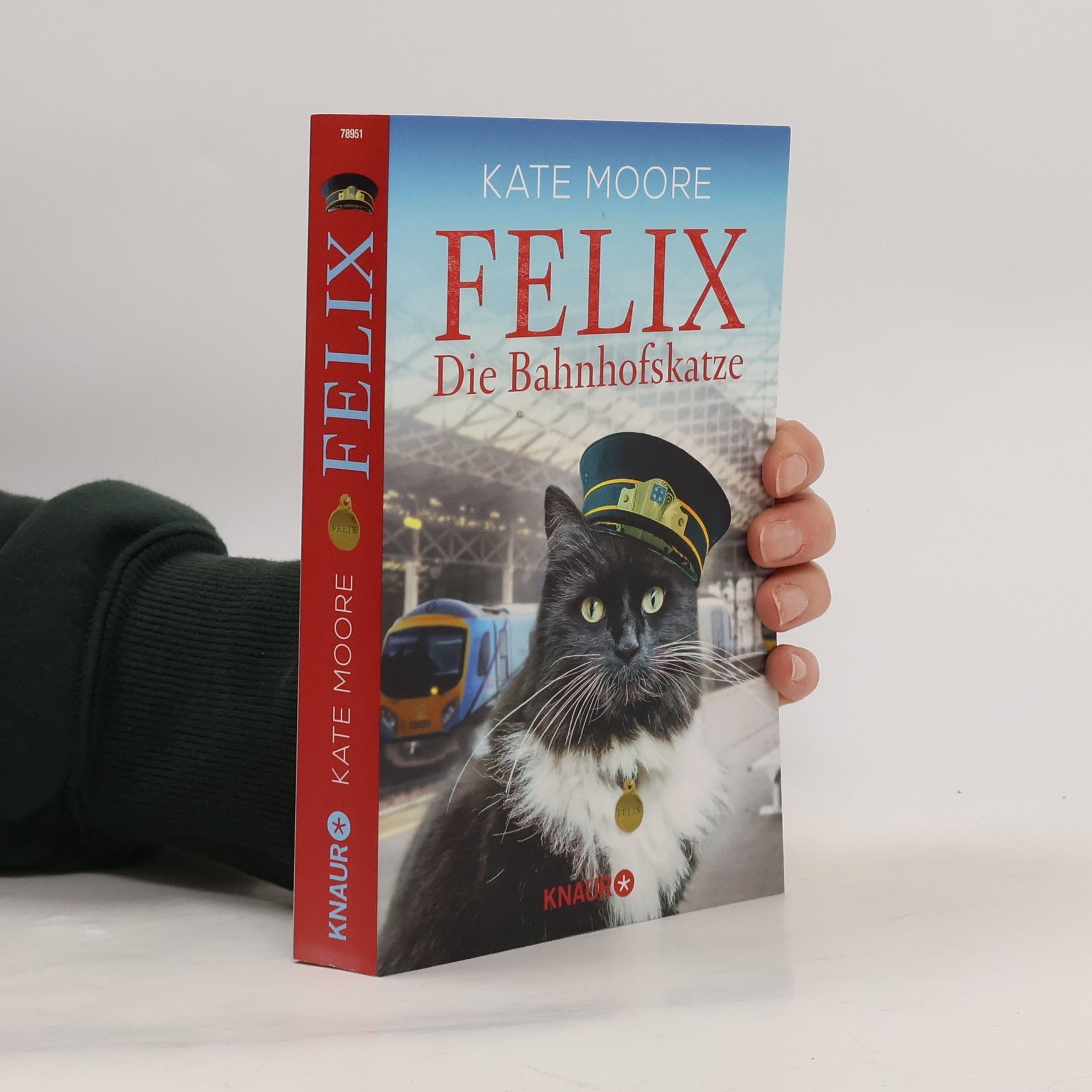 Kate Moore Felix - die Bahnhofskatze