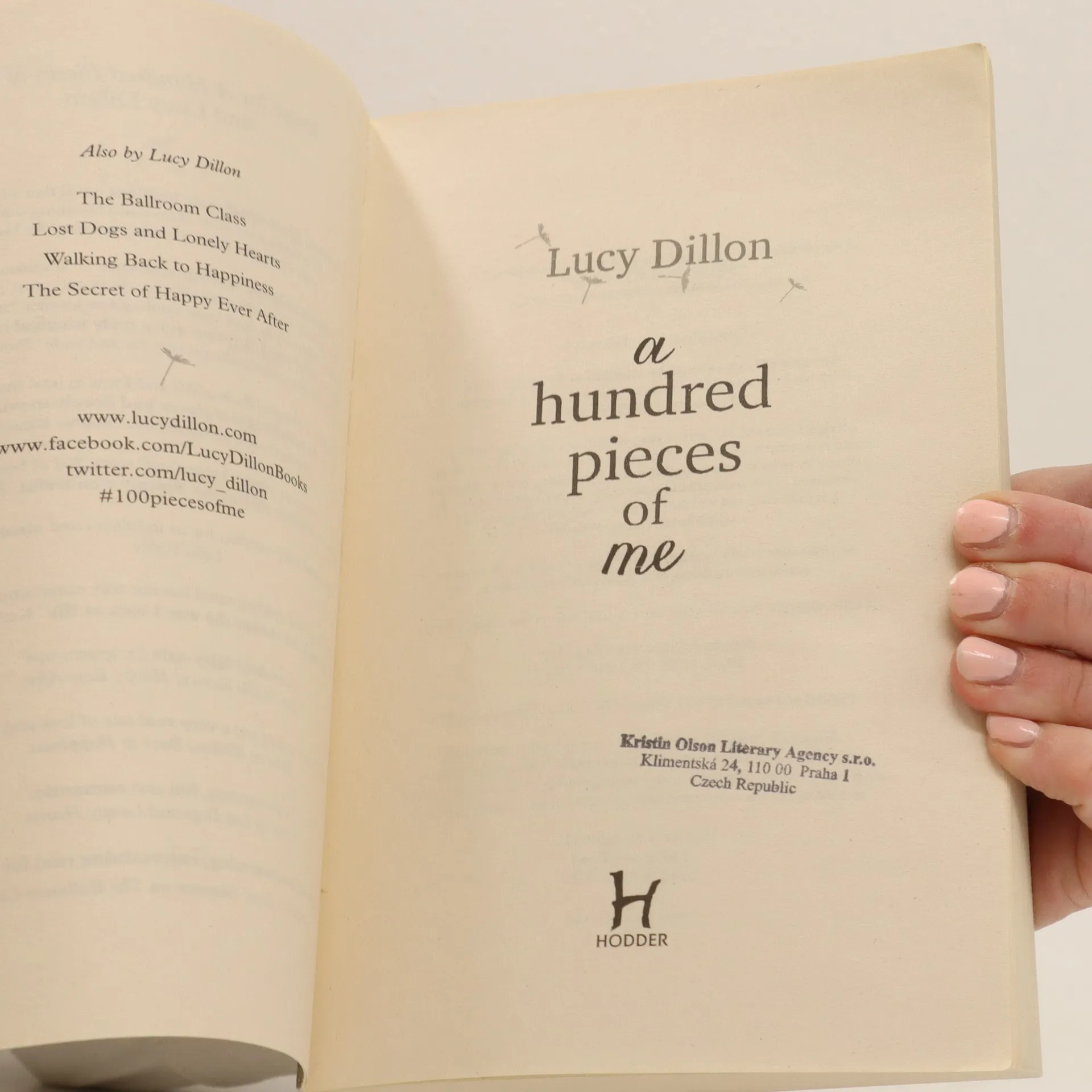 A Hundred Pieces of Me by Lucy Dillon