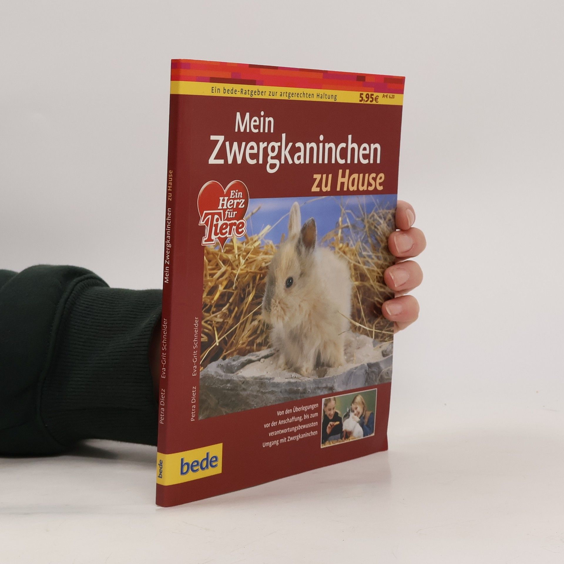 Mein Zwergkaninchen zu Hause