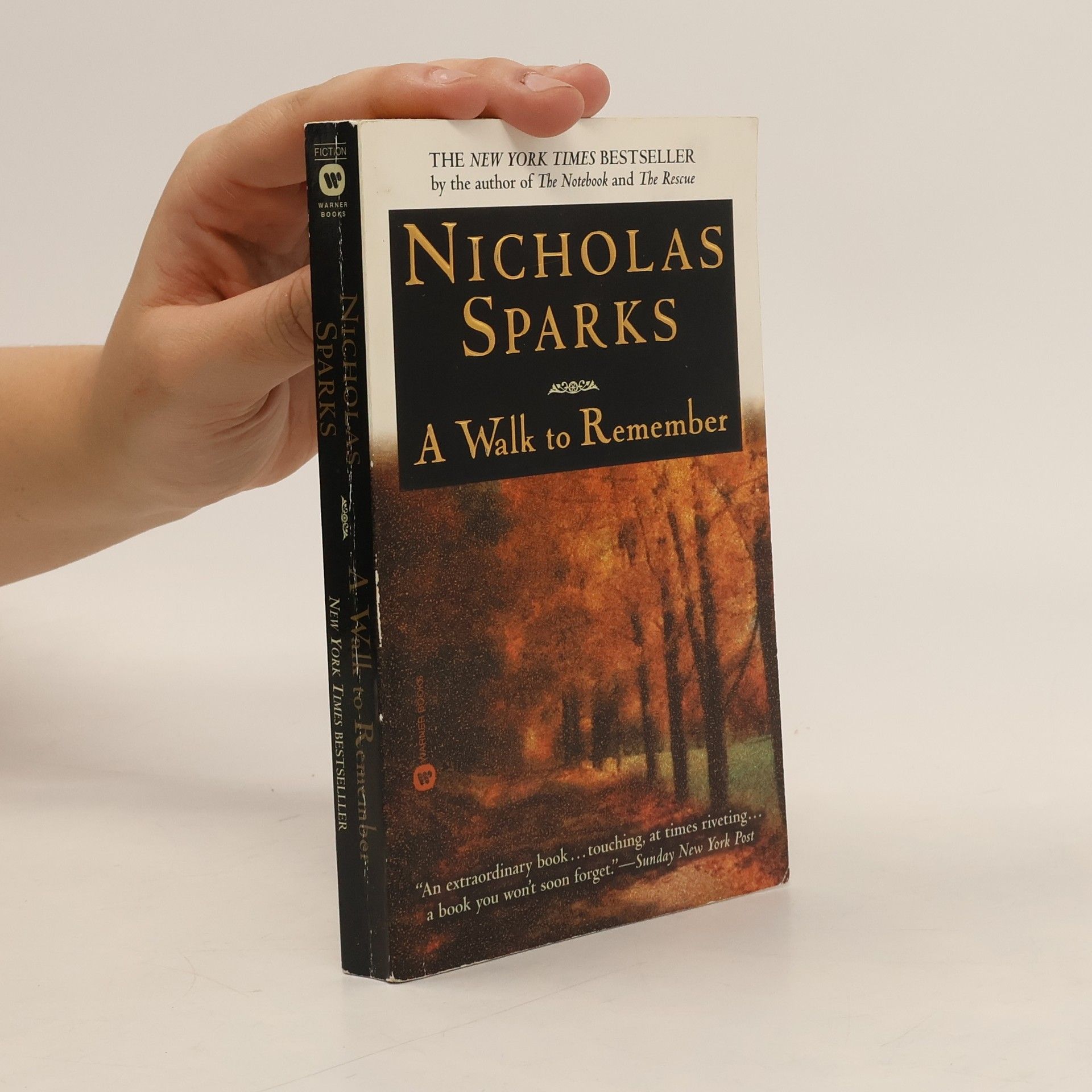 Nicholas Sparks A Walk to Remember