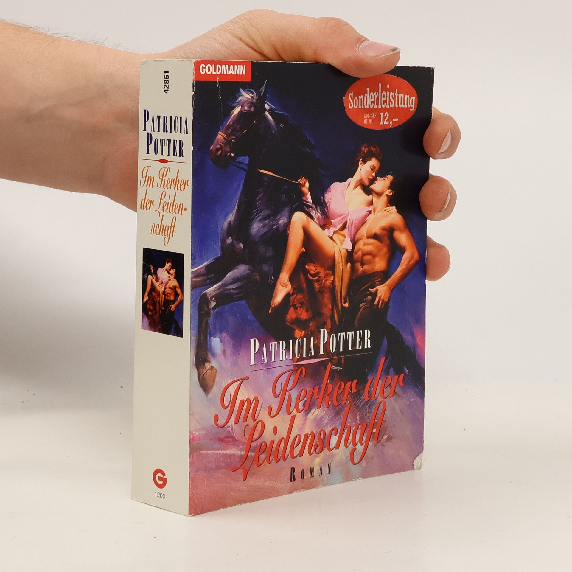 Patricia Potter Im Kerker der Leidenschaft.