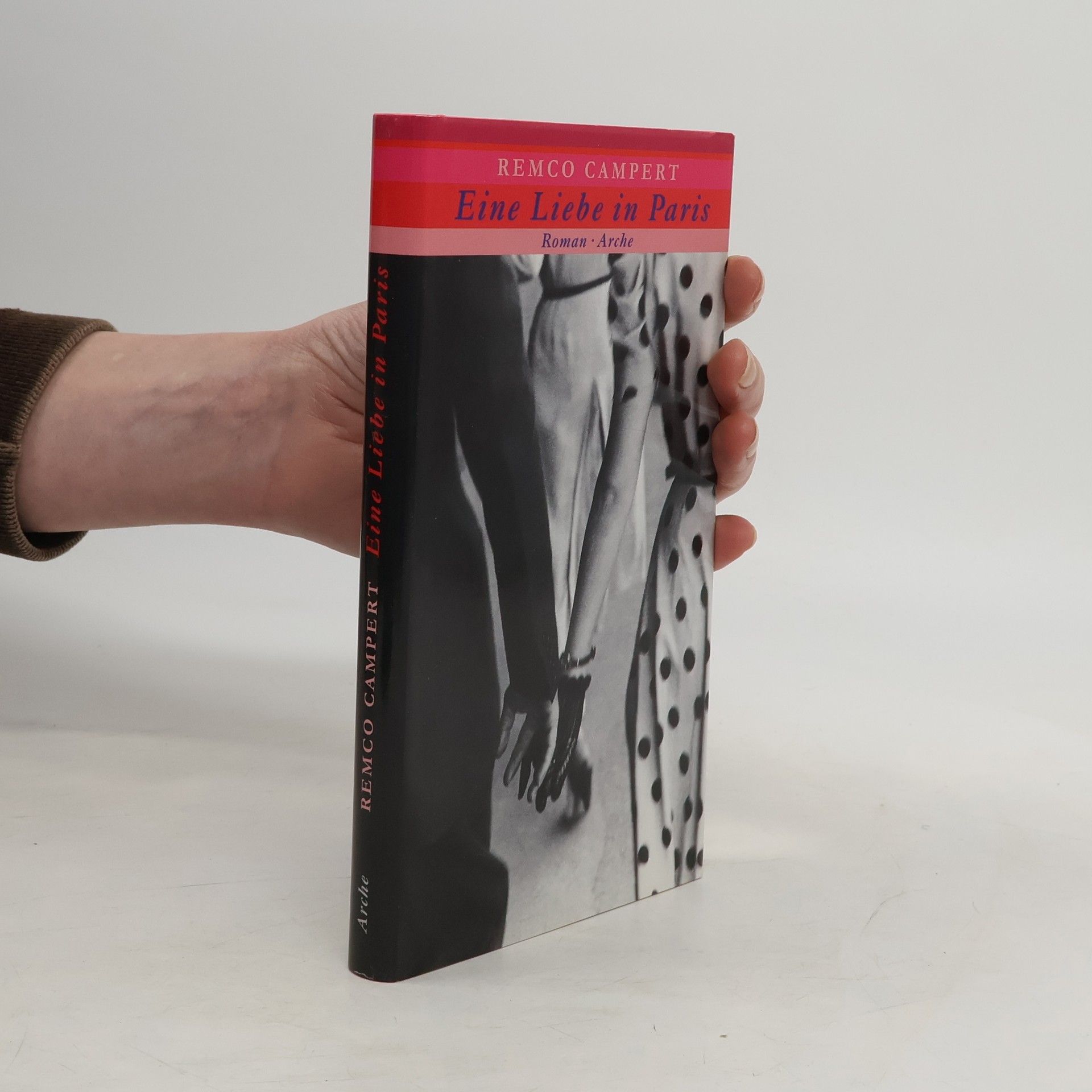Remco Campert Eine Liebe in Paris