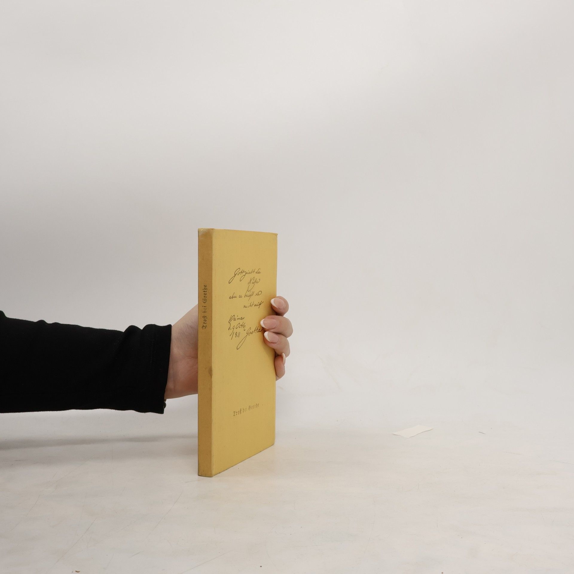 Heinrich Tieck Trost bei Goethe