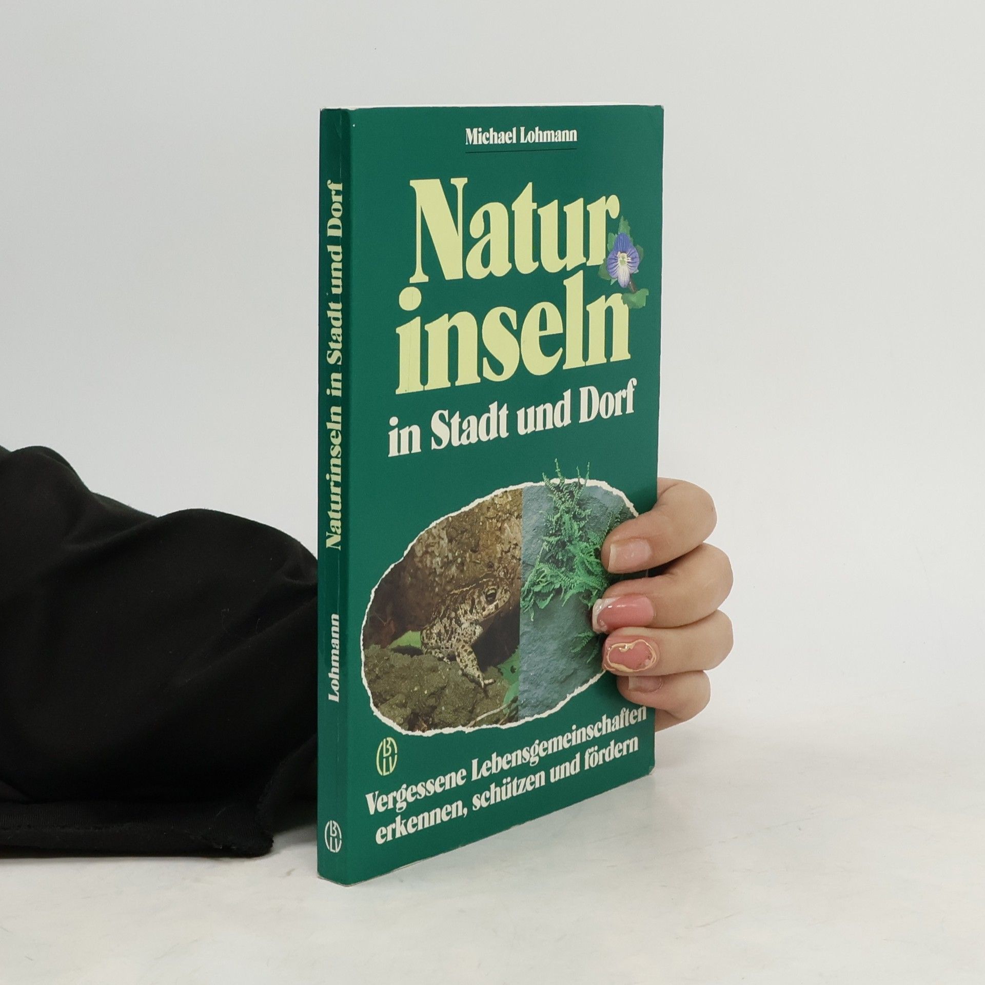 Michael Lohmann Naturinseln in Stadt und Dorf