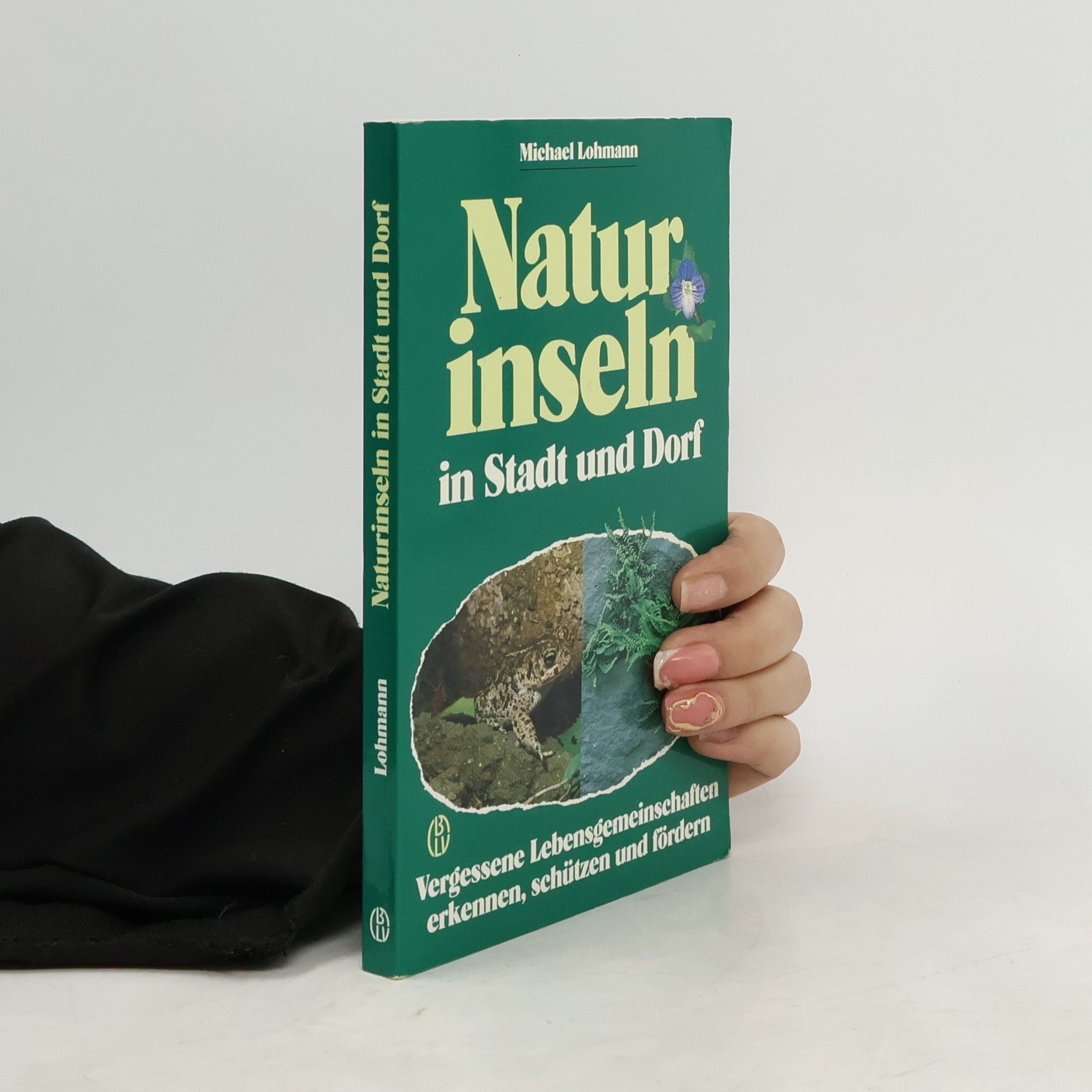 Michael Lohmann Naturinseln in Stadt und Dorf