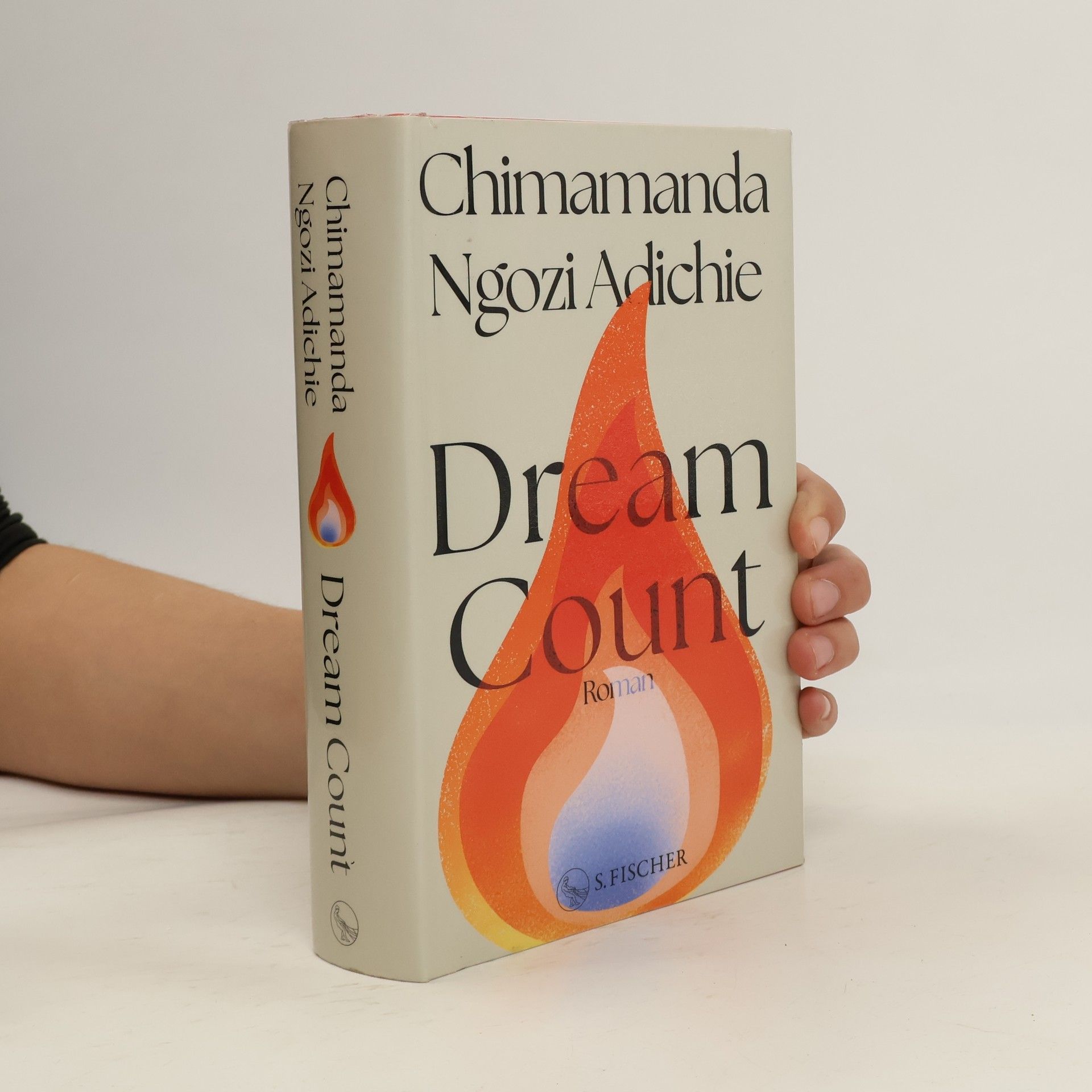Chimamanda Ngozi Adichie Dream Count