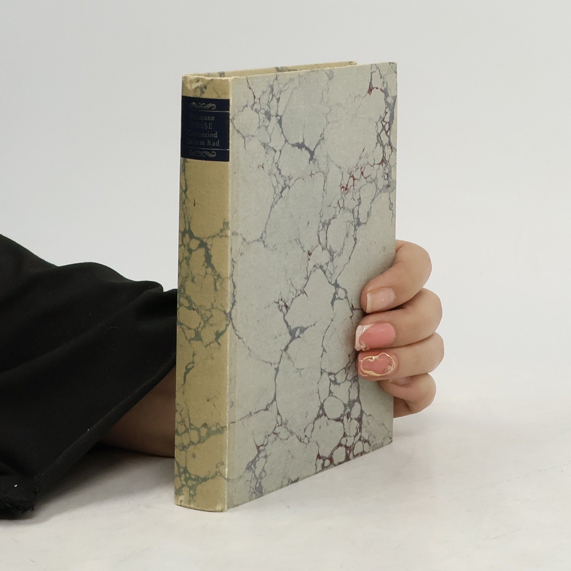 Hermann Hesse Die Romane und die großen Erzählungen 1. Peter Camenzind. Unterm Rad