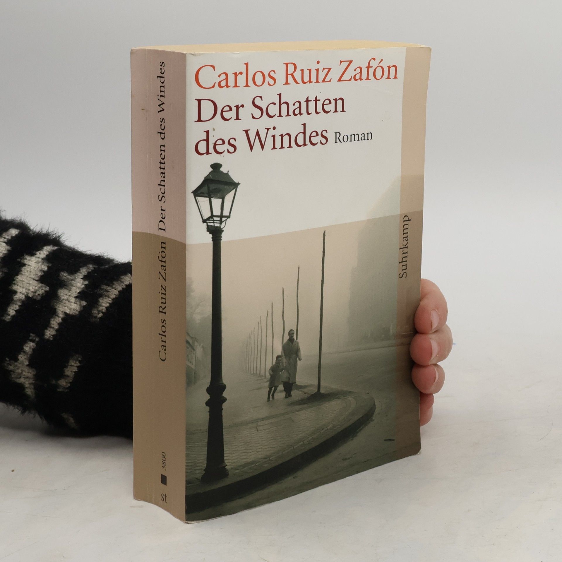 Der Schatten des Windes