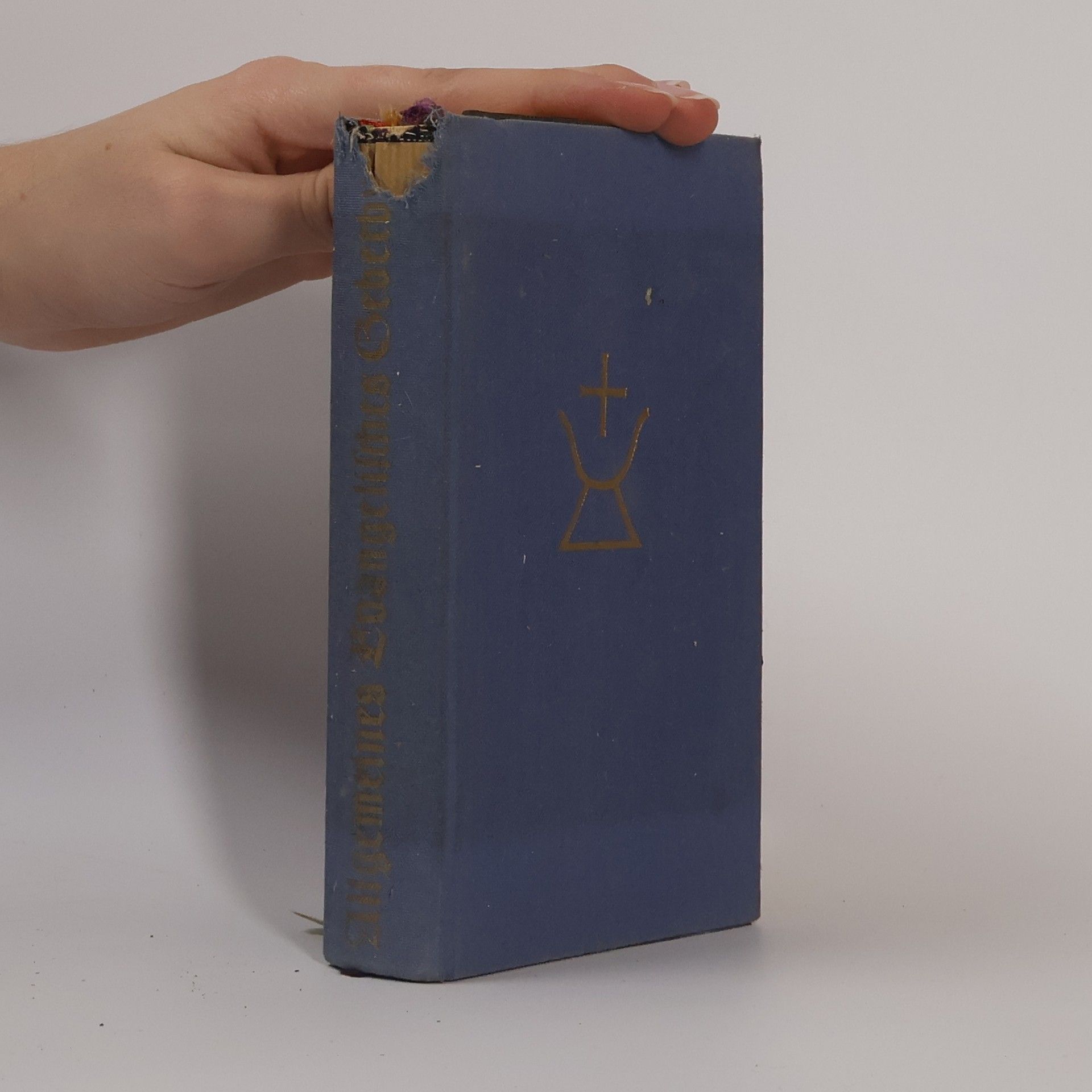 Autorenkollektiv Allgemeines evangelisches Gebetbuch