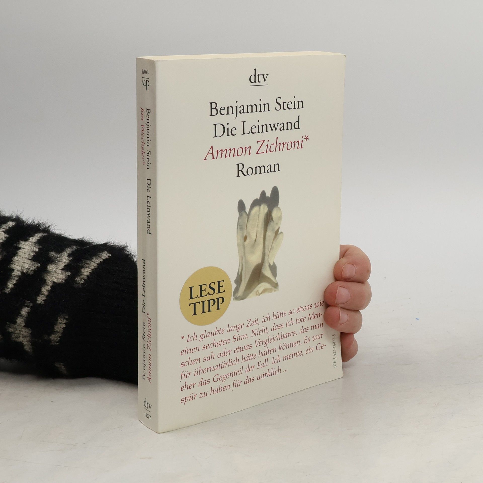 Benjamin Stein Die Leinwand