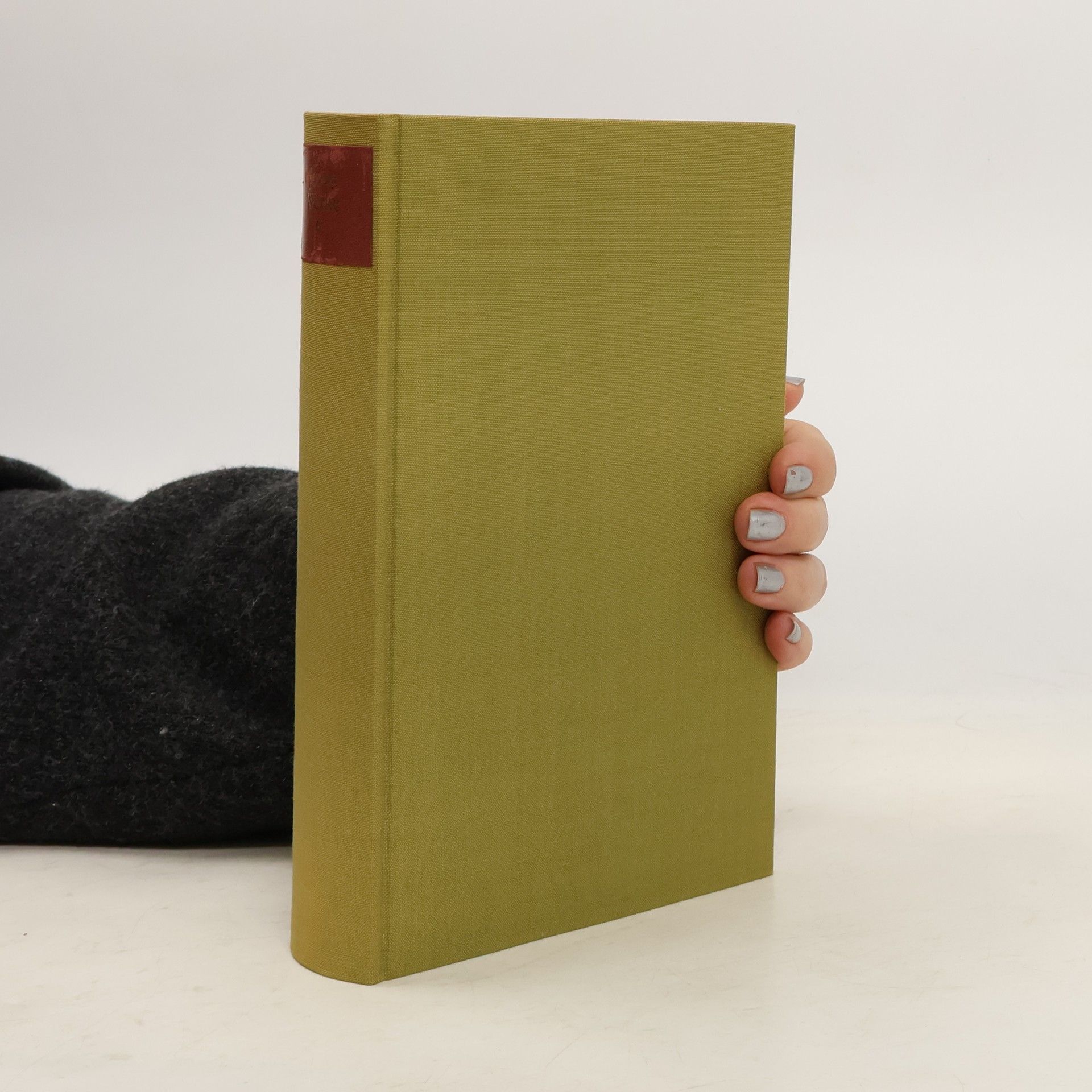 James Joyce Frankfurter Ausgabe Werke 6. Briefe II