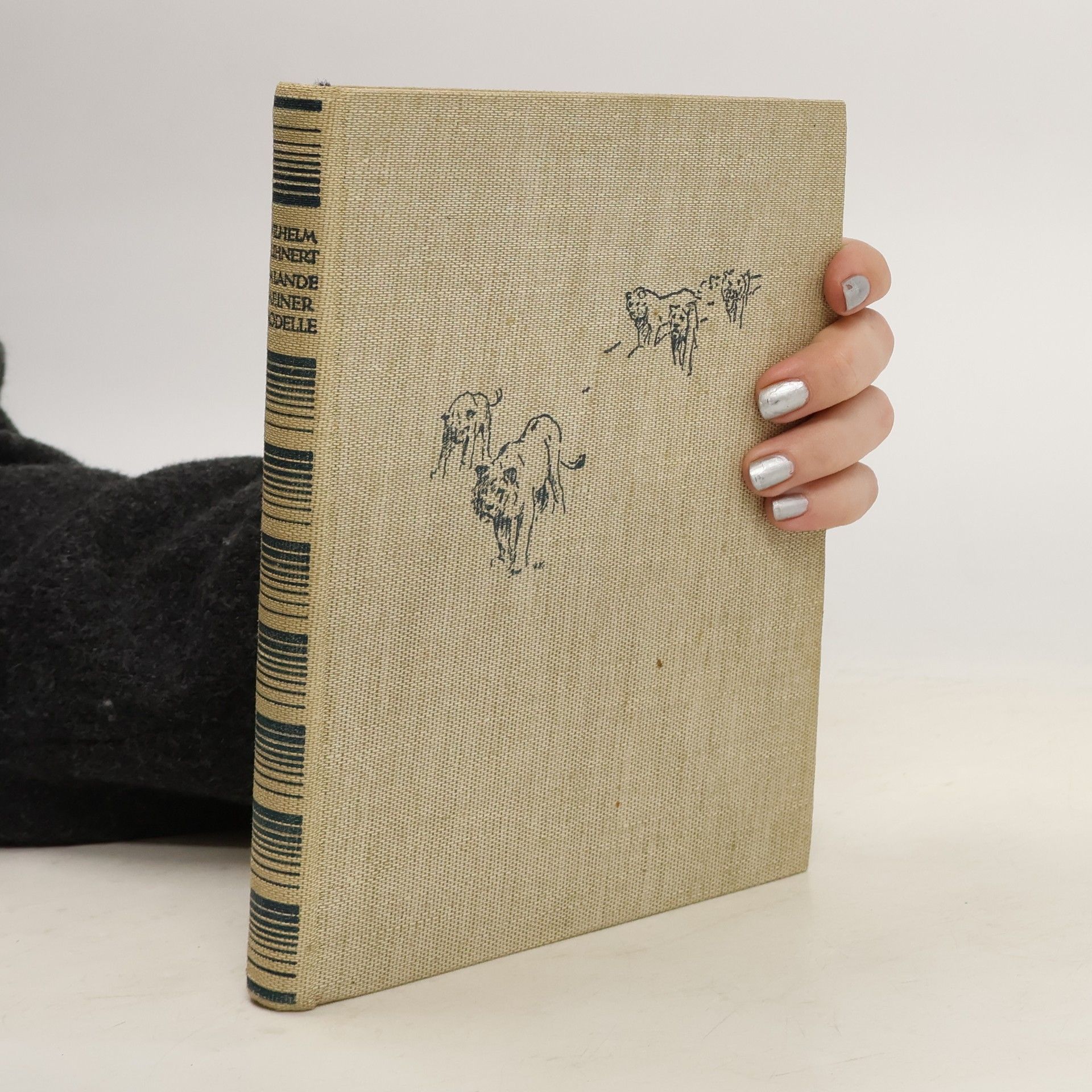 Im Lande meiner Modelle