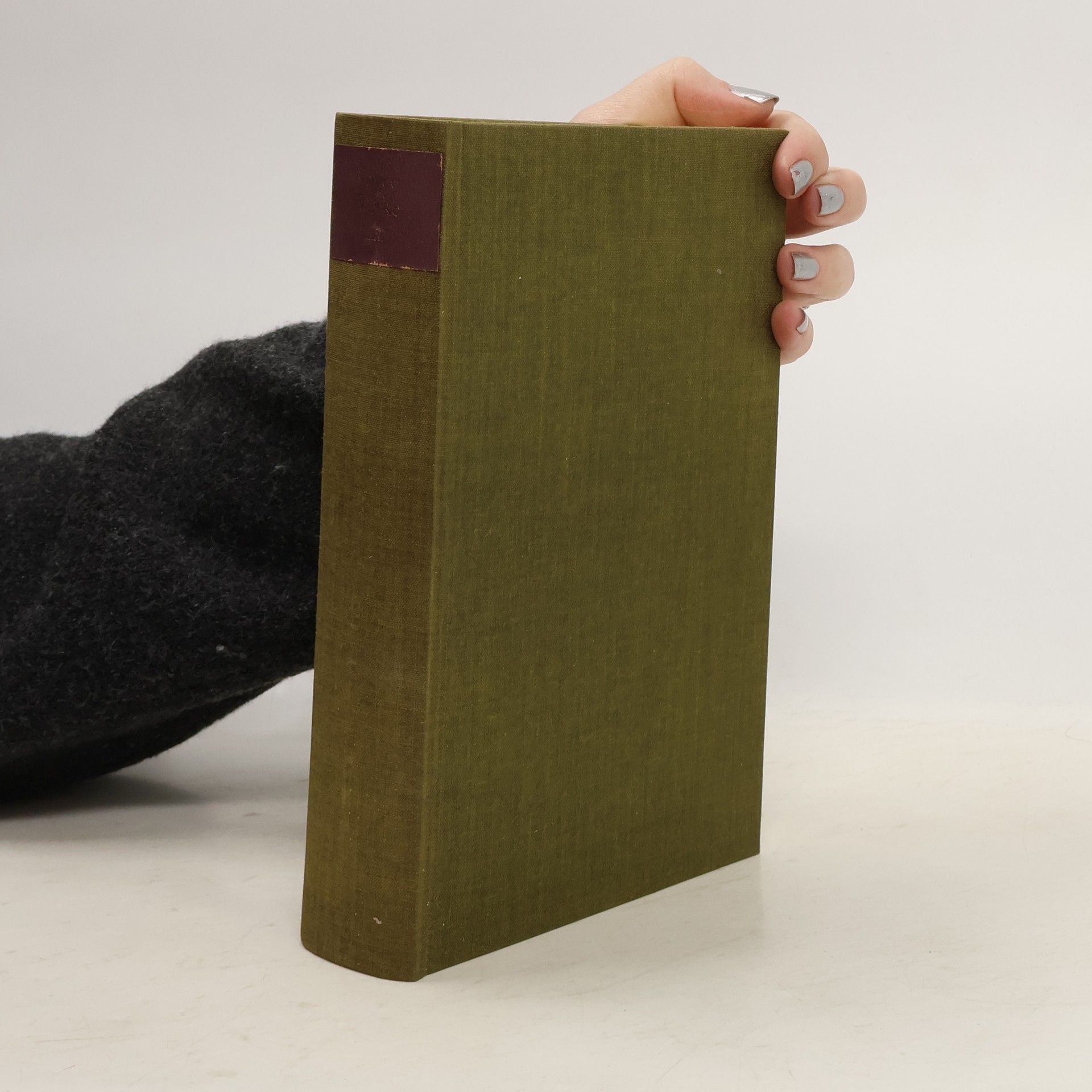 James Joyce Kleine Schriften