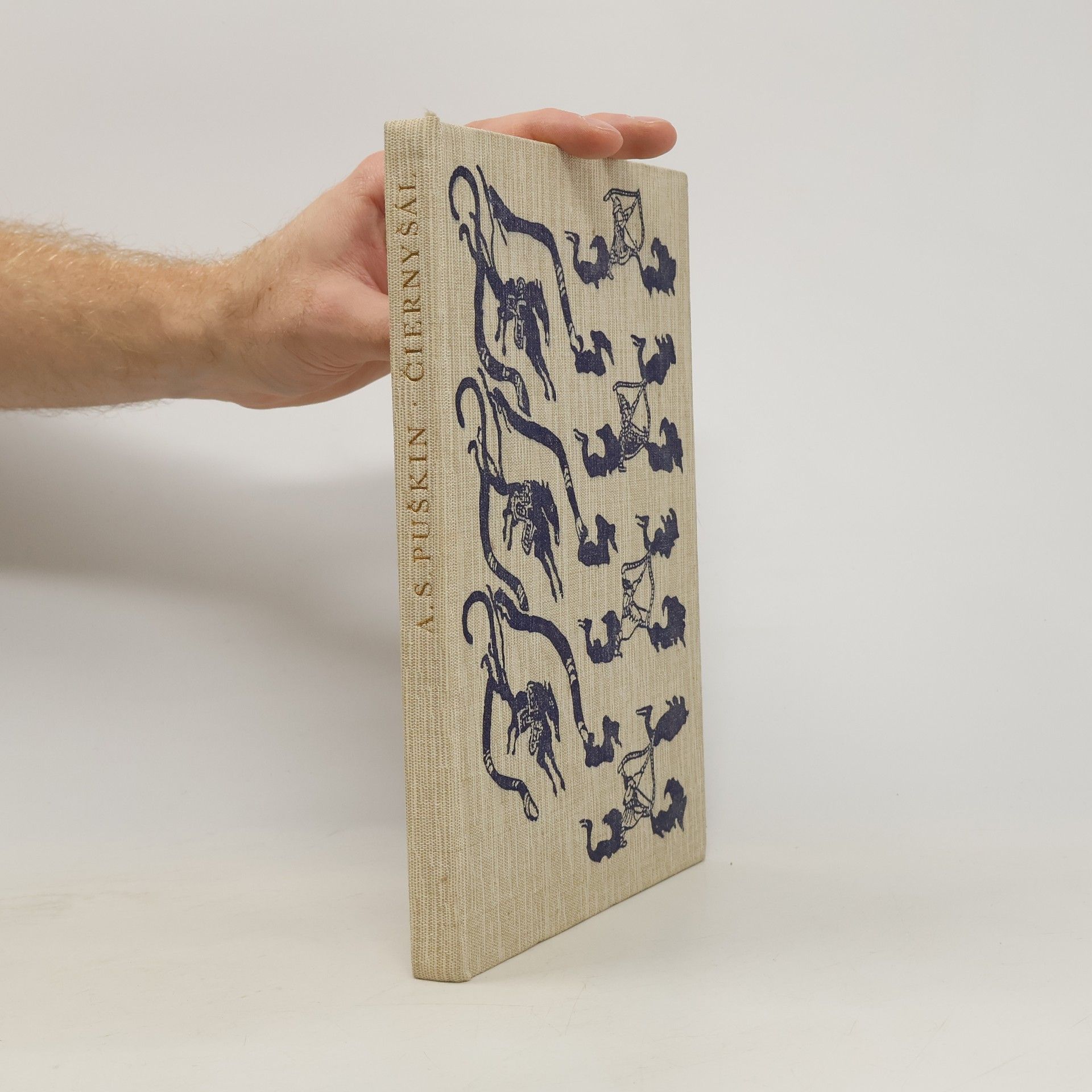 Aleksandr Sergejevič Puškin Čierný šál