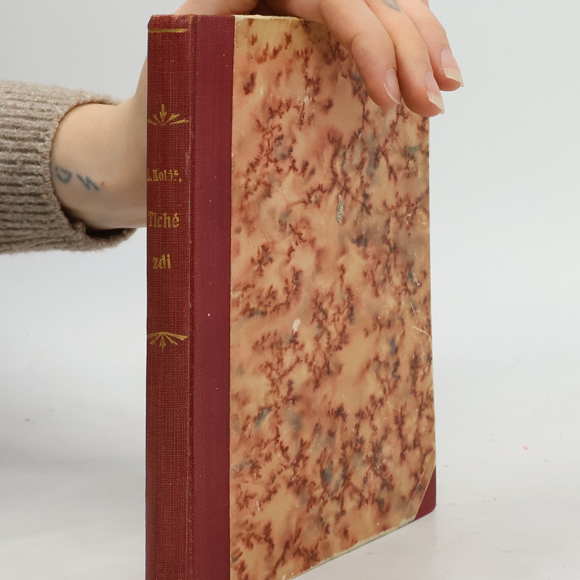 L Kolář Tiché zdi