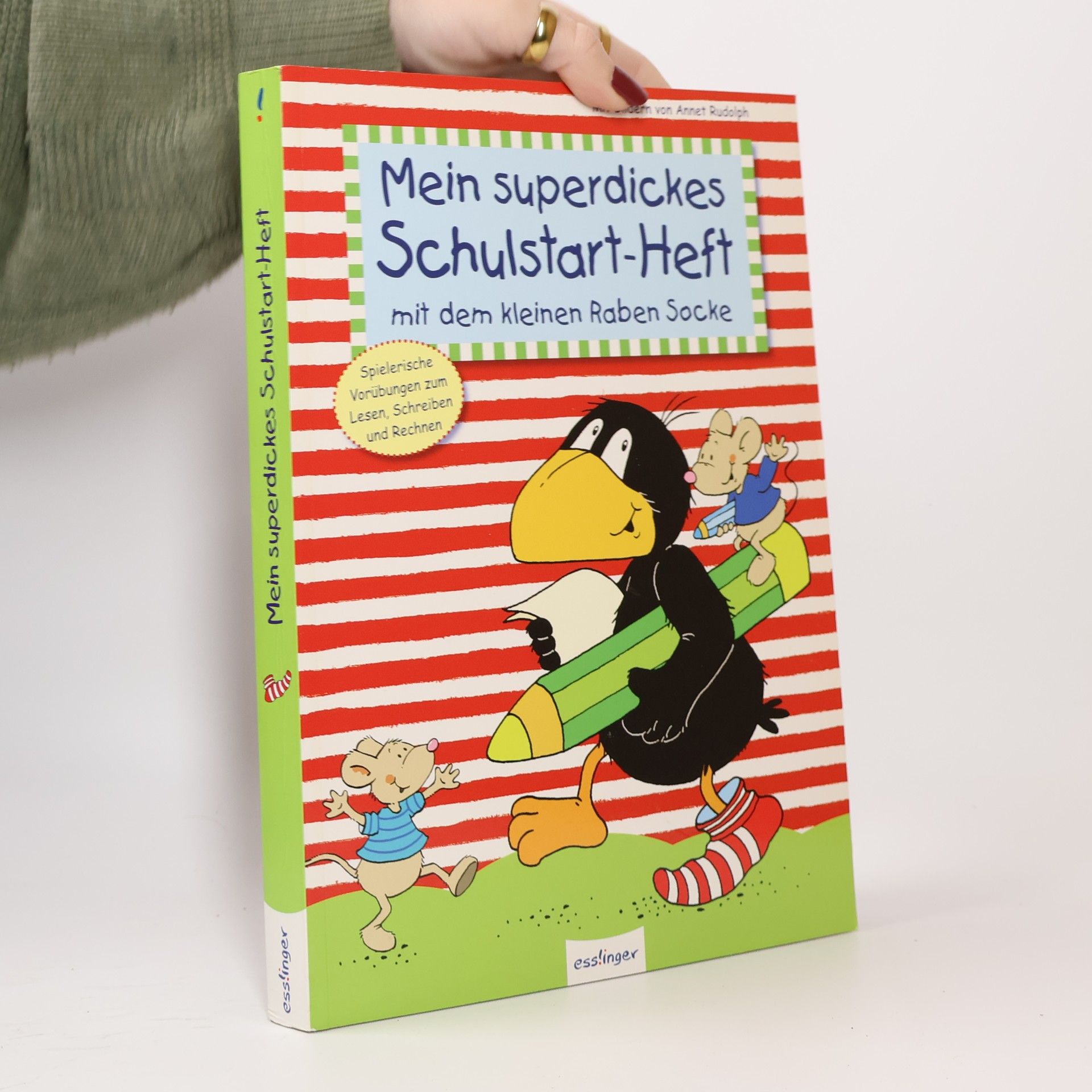 Annet Rudolph Der kleine Rabe Socke