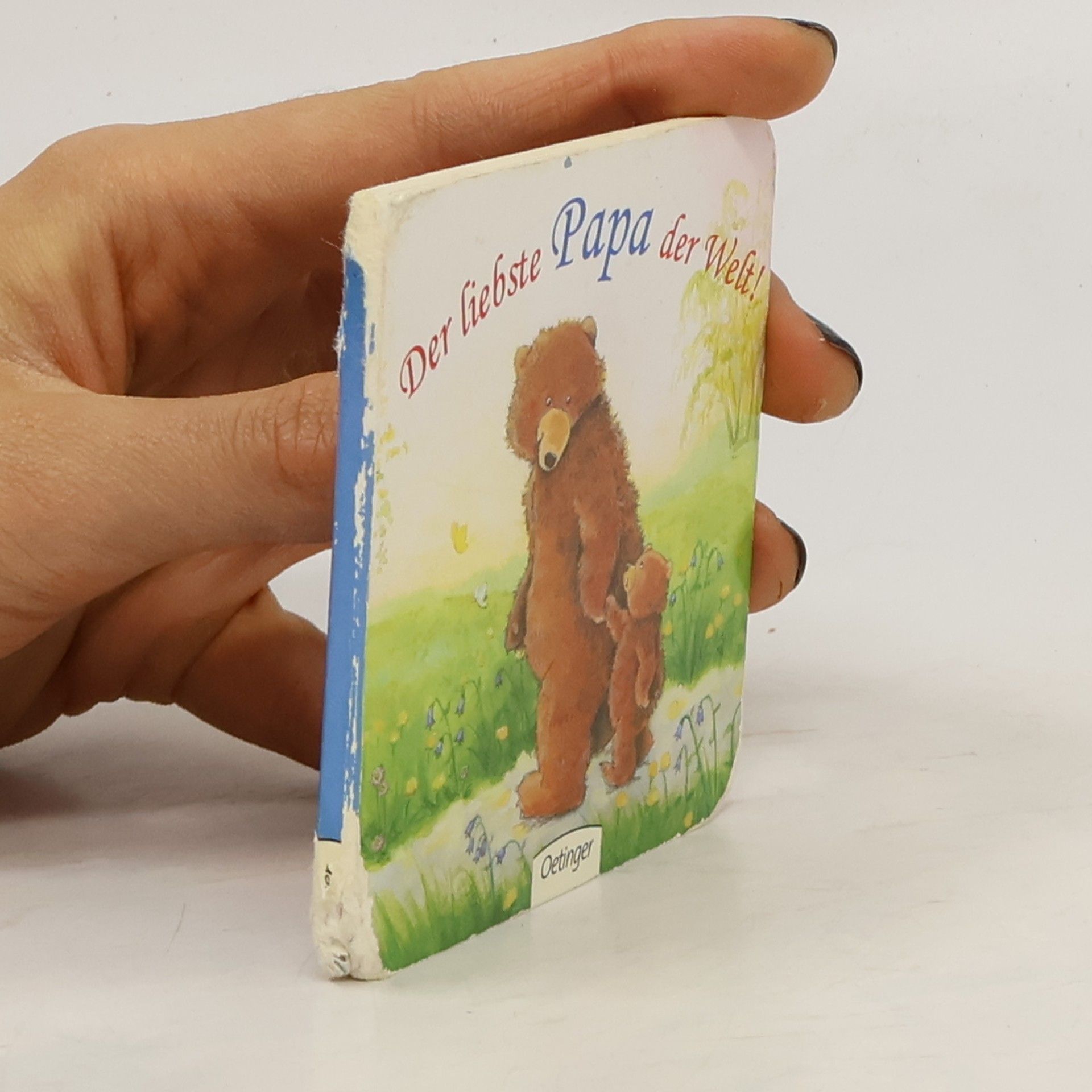 Autorenkollektiv Der liebste Papa der Welt!