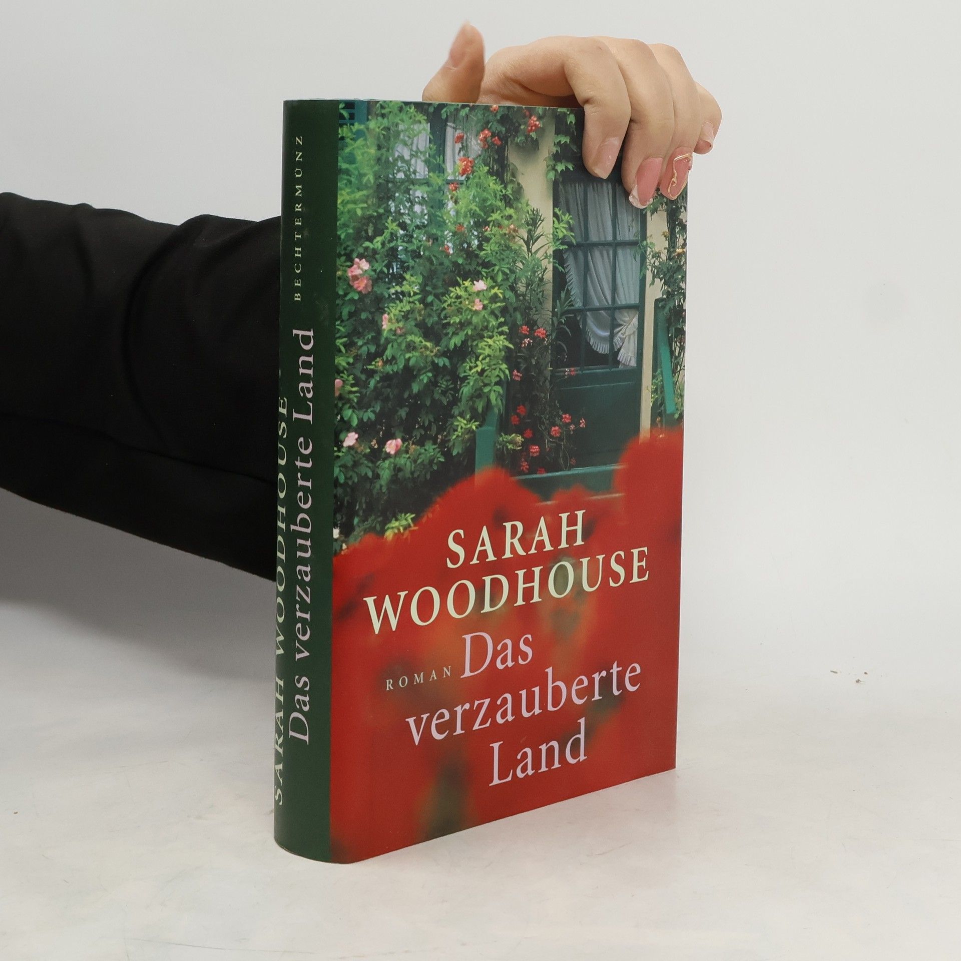 Das verzauberte Land