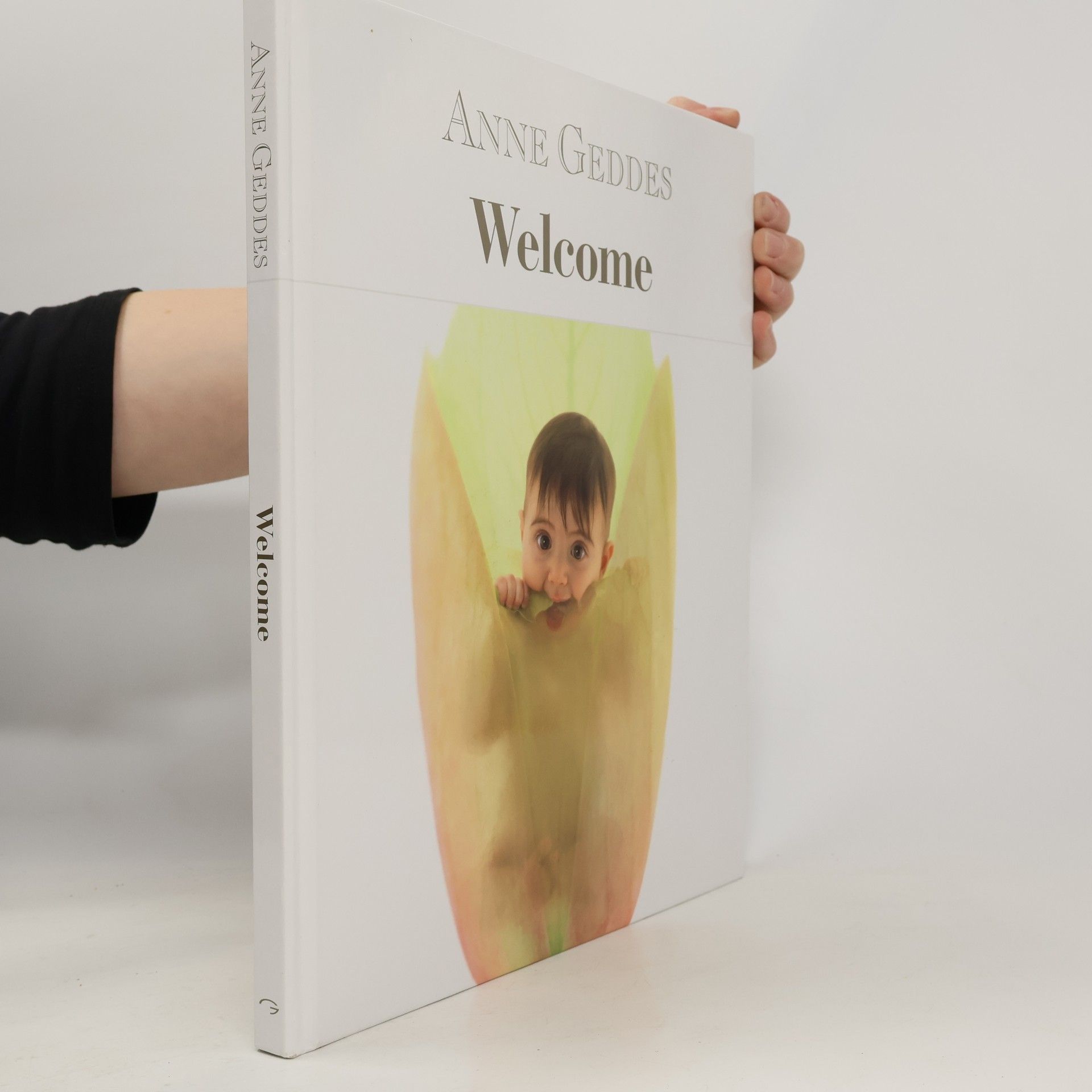 Anne Geddes Welcome