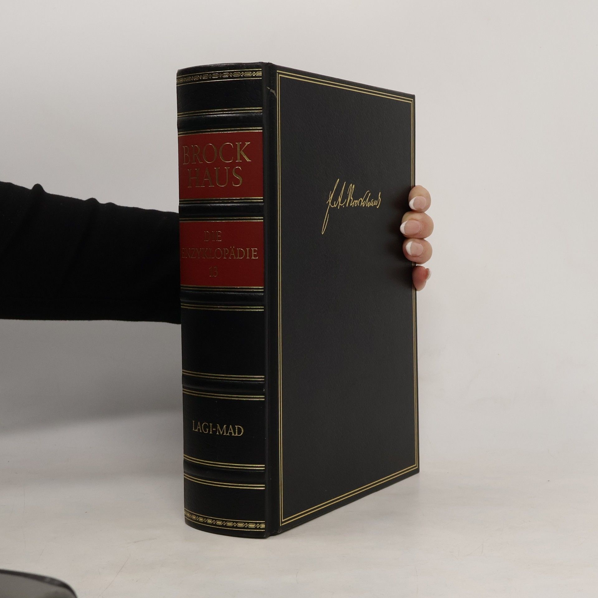 Kolektiv autorů Brockhaus - die Enzyklopädie 13