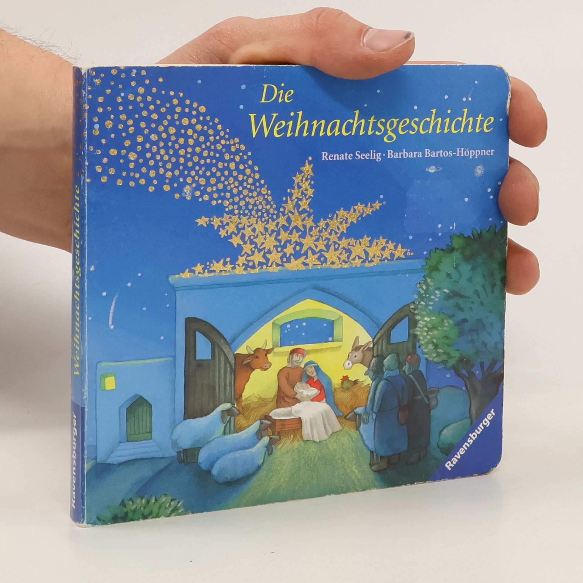 Renate Seelig Die Weihnachtsgeschichte