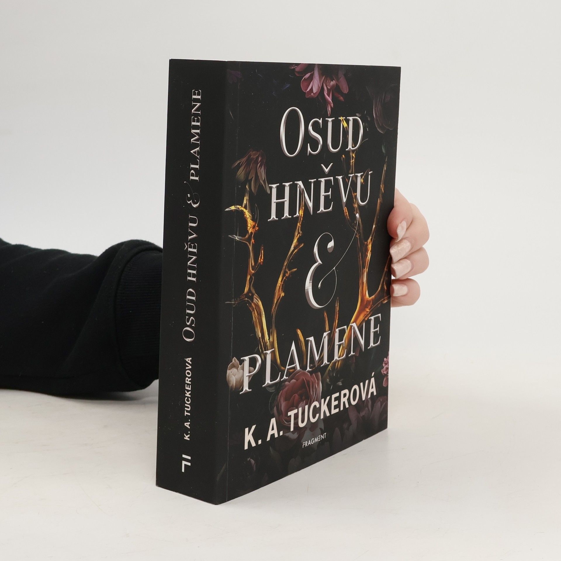 K. A. Tucker Osud hněvu & plamene