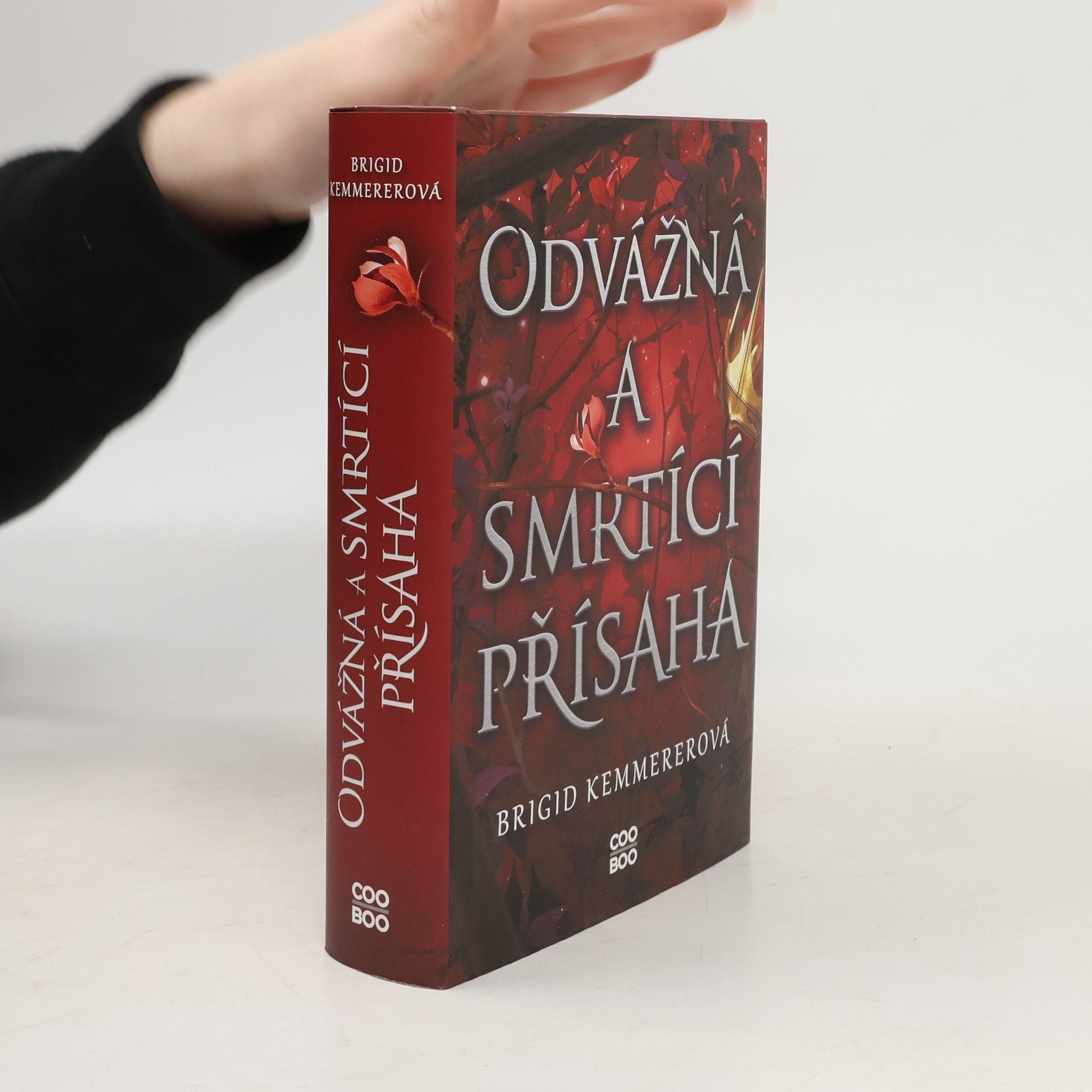 Brigid Kemmererová Odvážná a smrtící přísaha