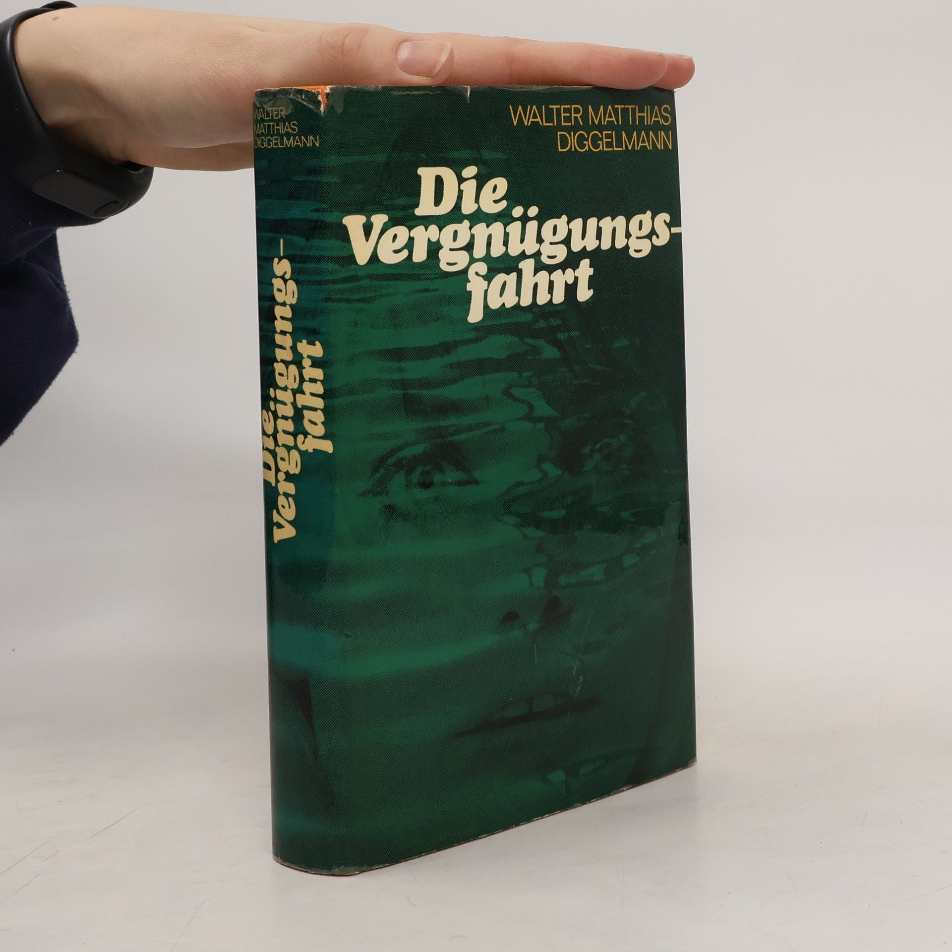 Walter Matthias Diggelmann Die Vergnügungsfahrt