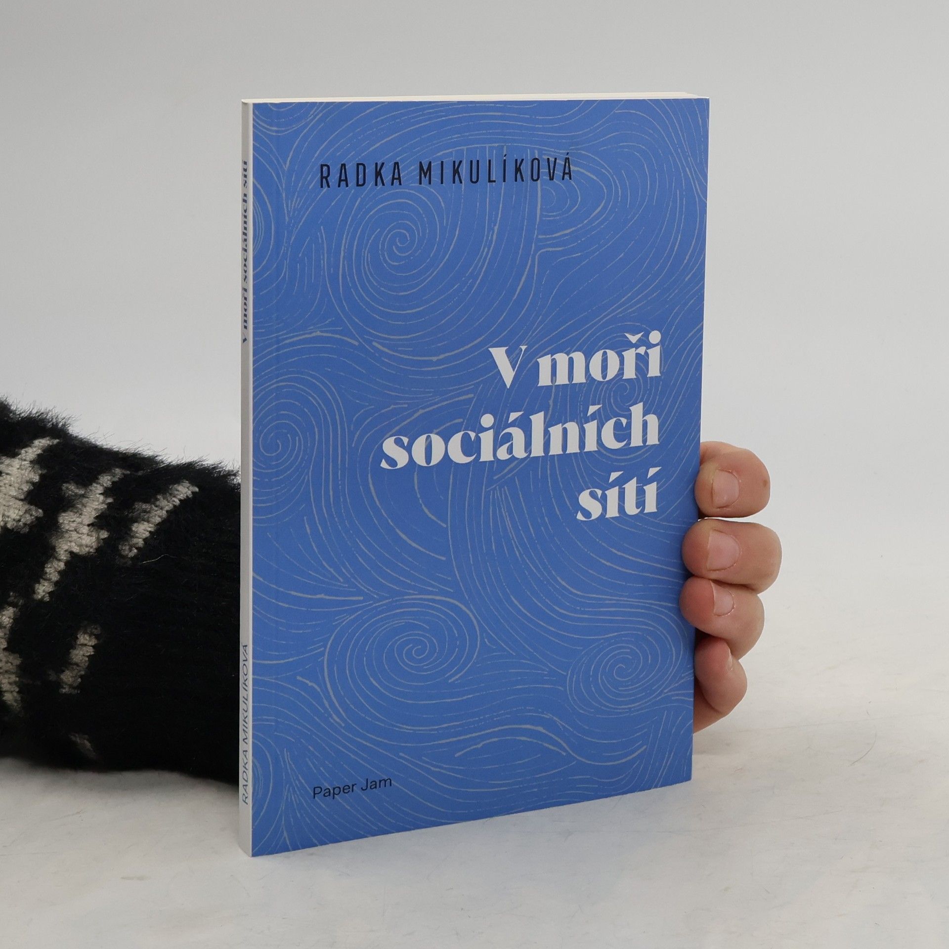 Radka Mikulíková V moři sociálních sítí