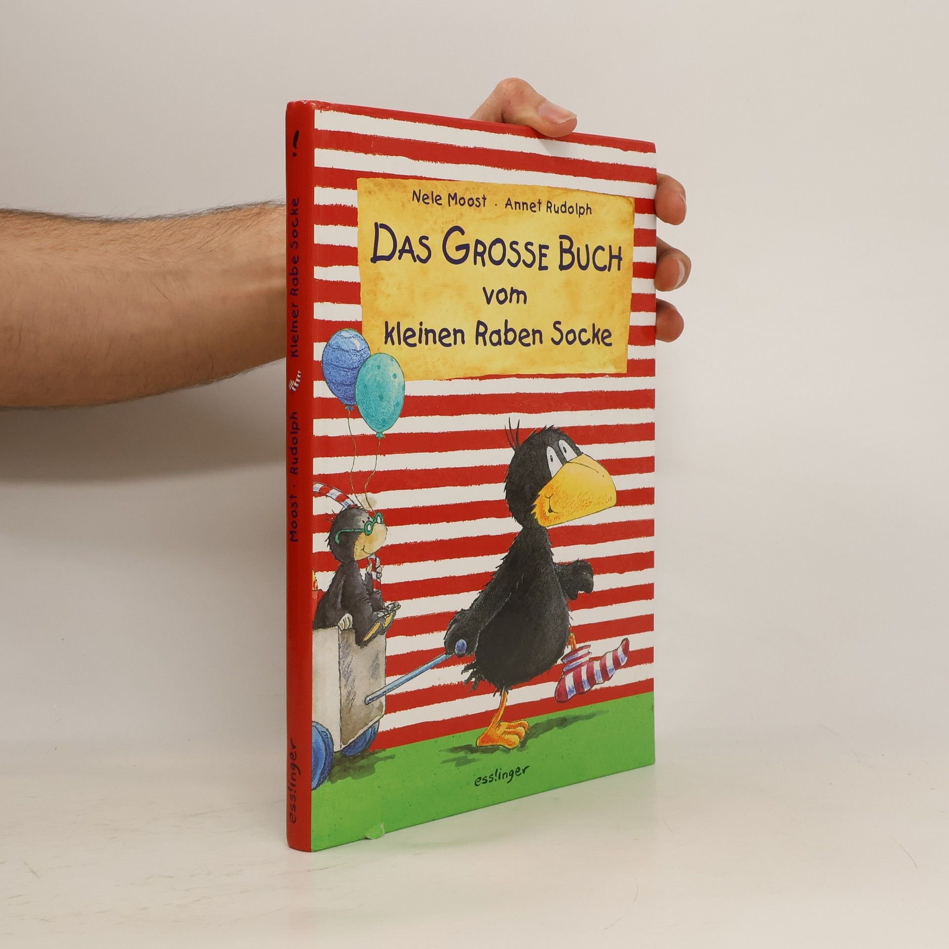 Nele Moost Das große Buch vom kleinen Raben Socke