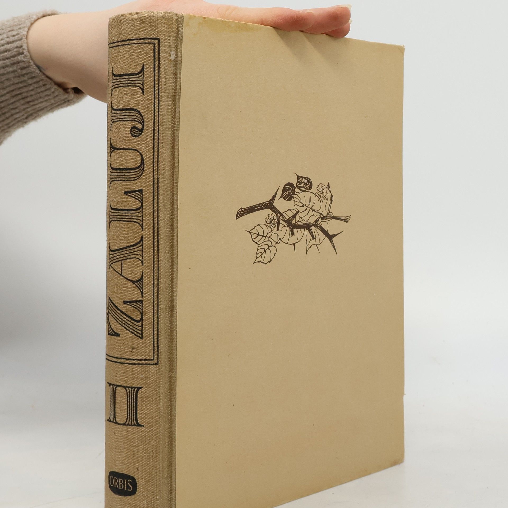 Žaluji. Pankrácká kalvarie II.