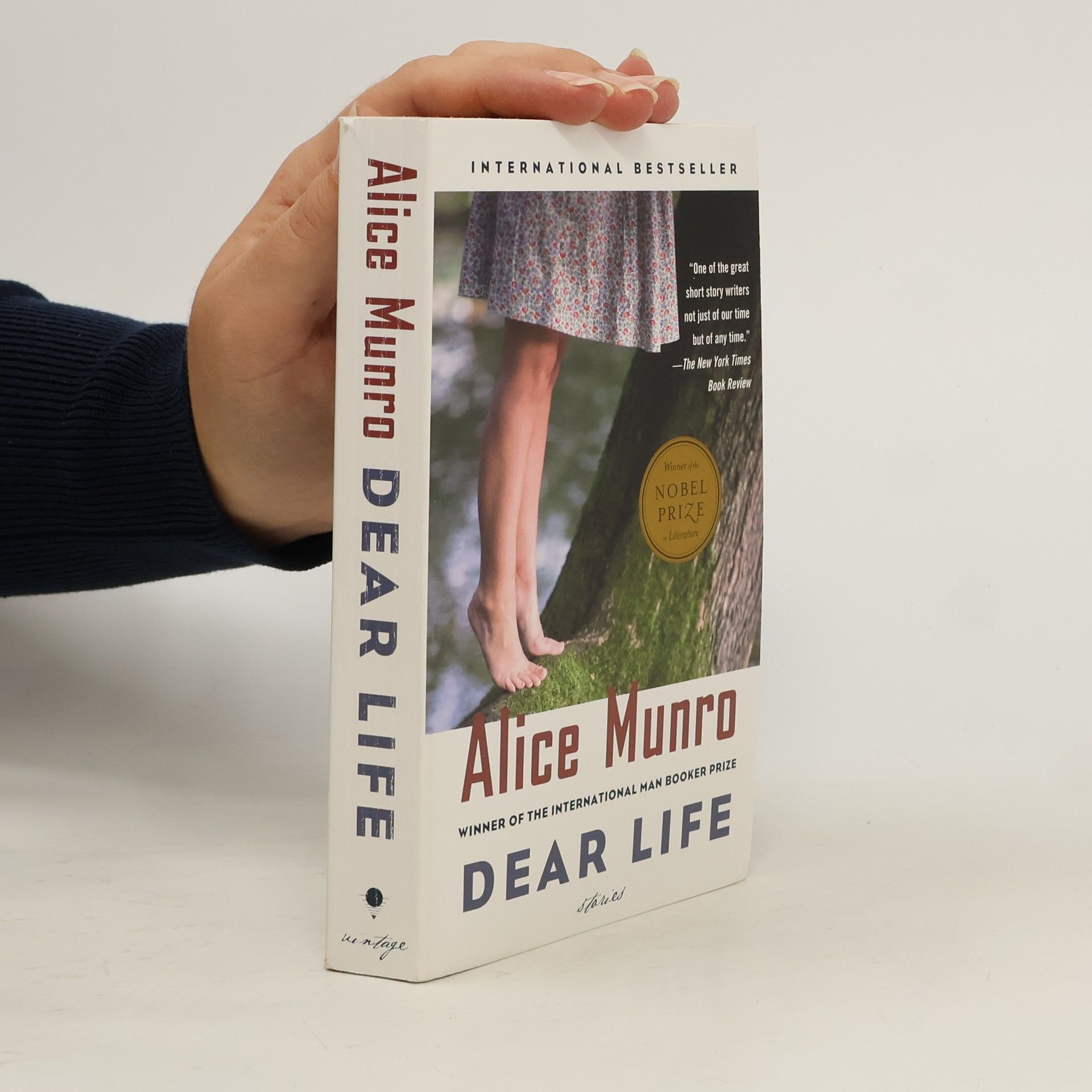 Alice Munro Dear Life
