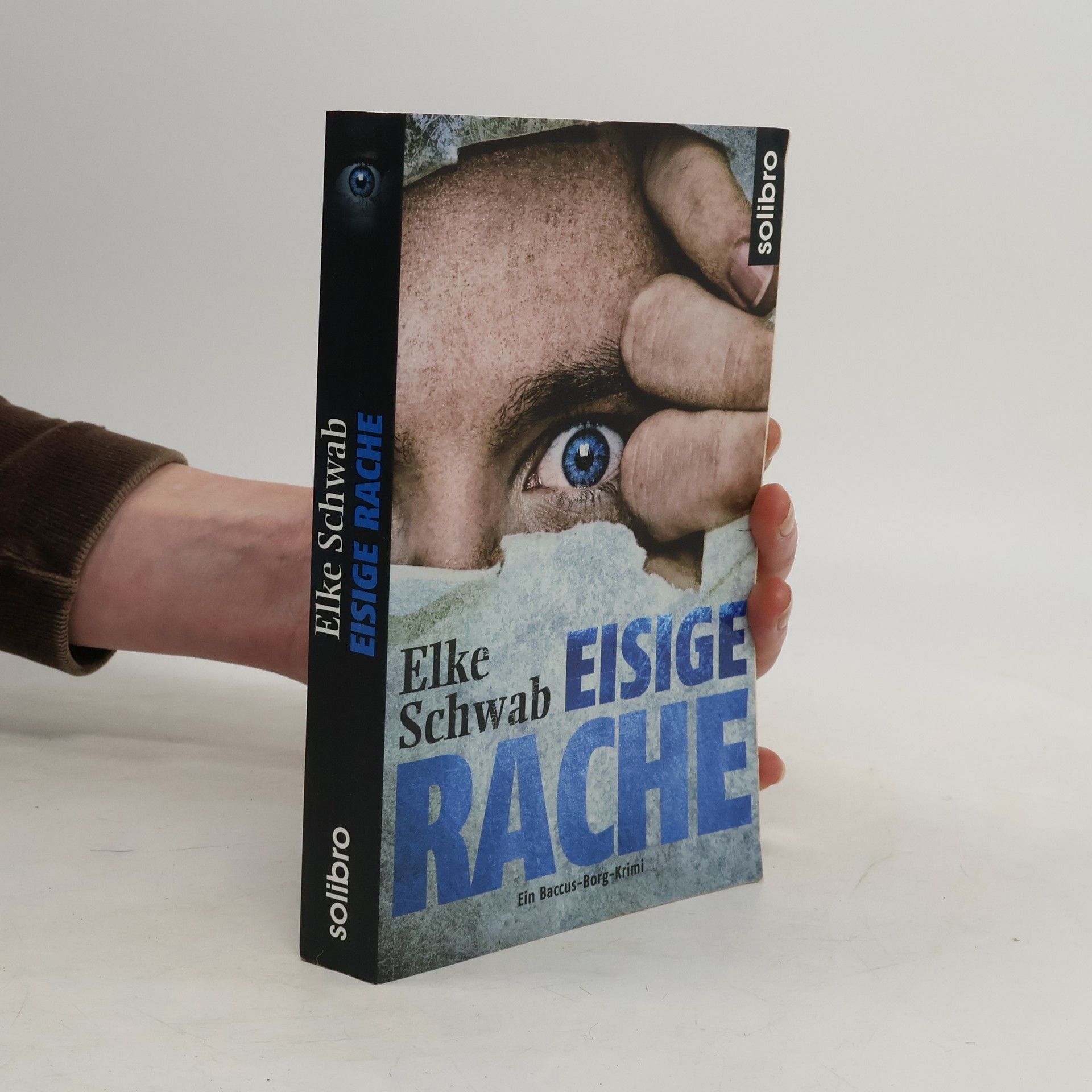 Elke Schwab Eisige Rache