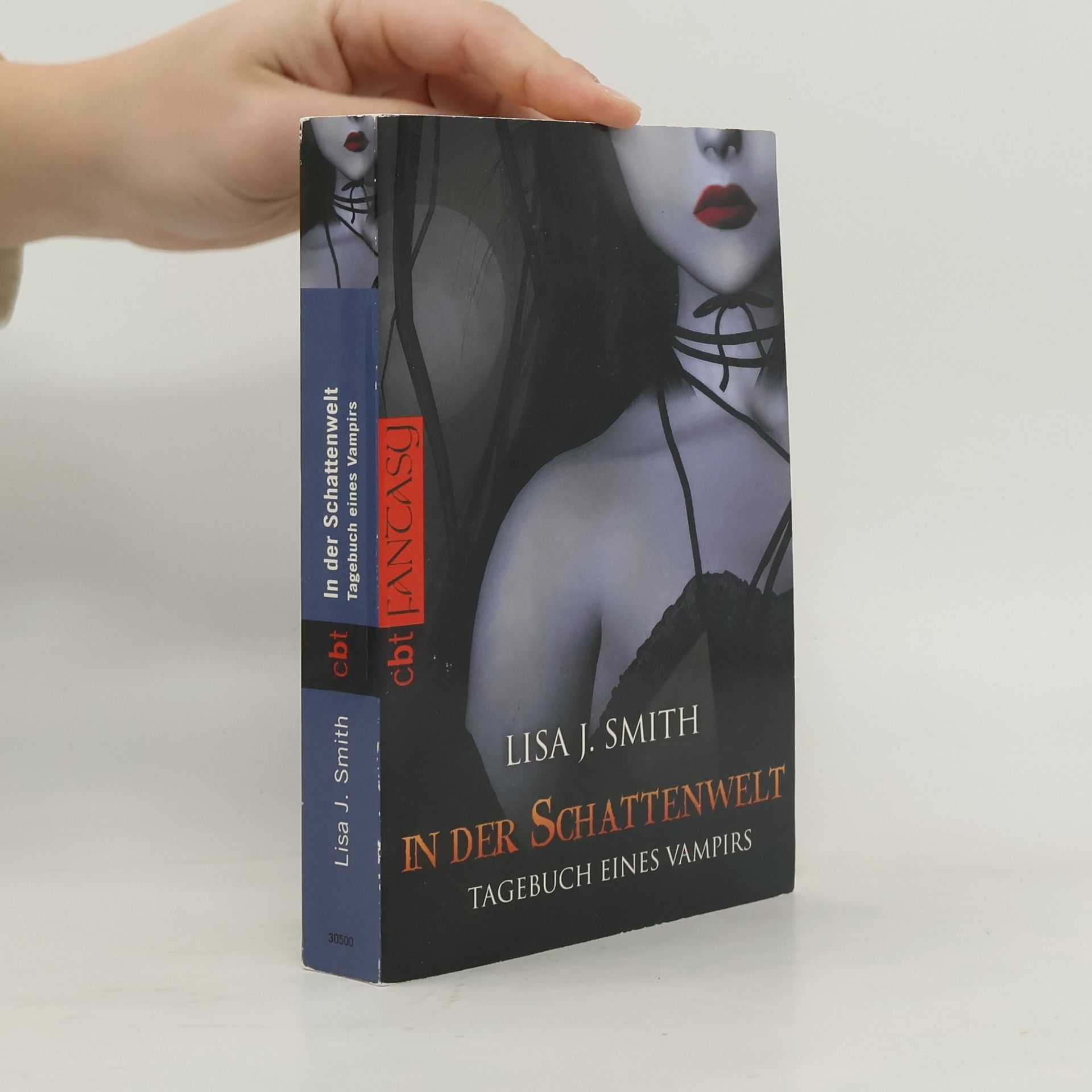 L. J. Smith Tagebuch eines Vampirs 4