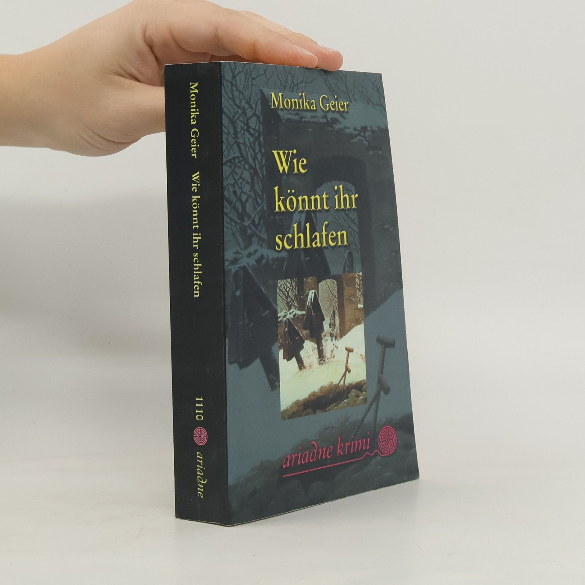 Monika Geier Wie könnt ihr schlafen