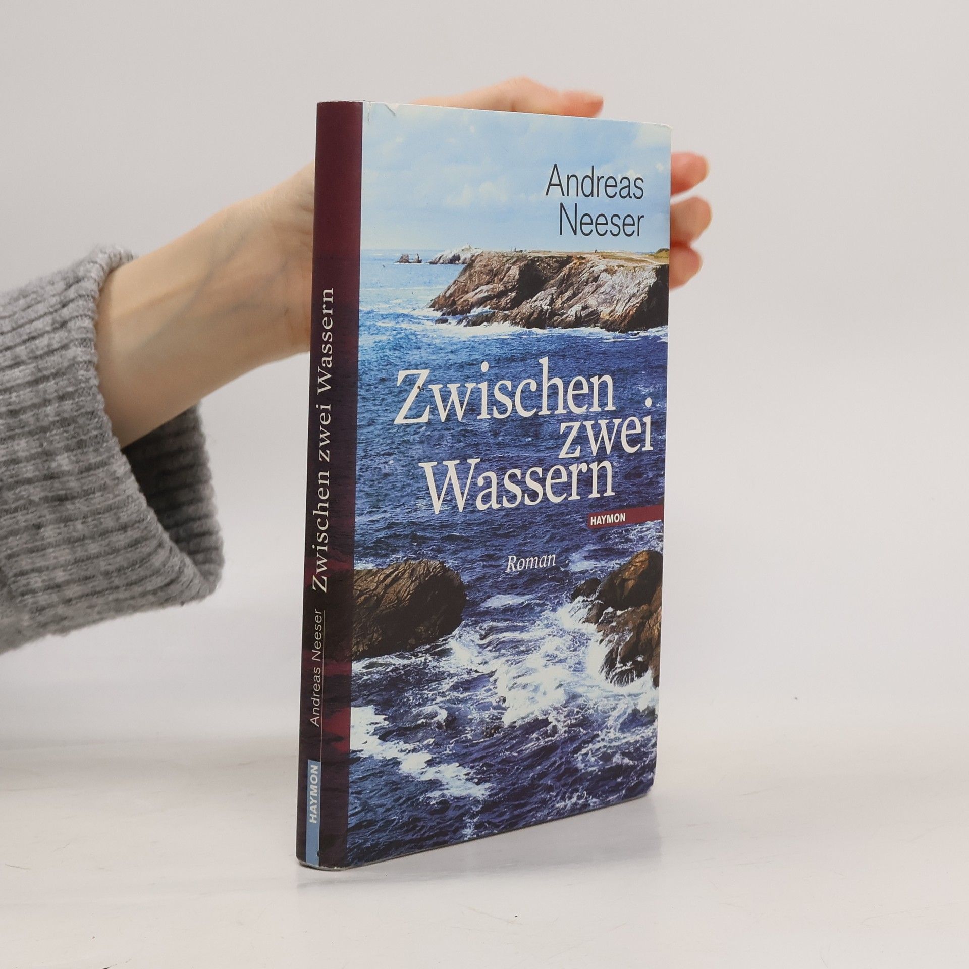 Andreas Neeser Zwischen zwei Wassern