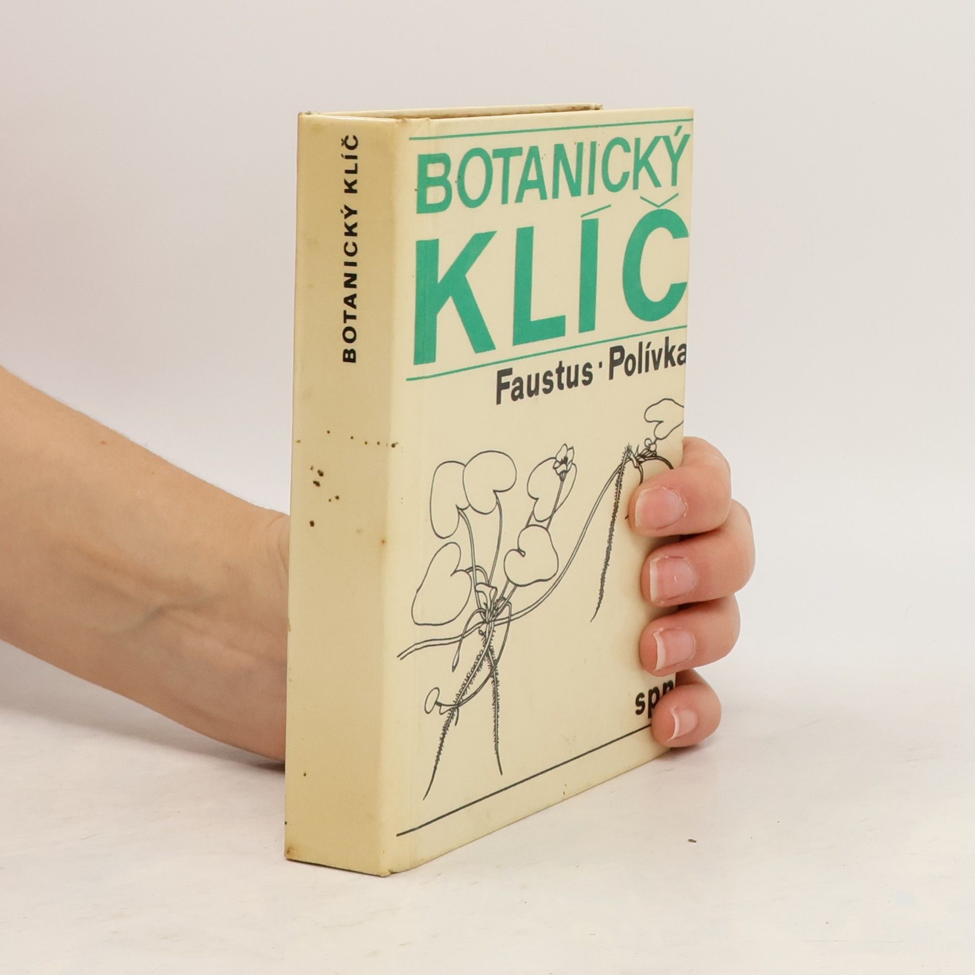 Botanický klíč