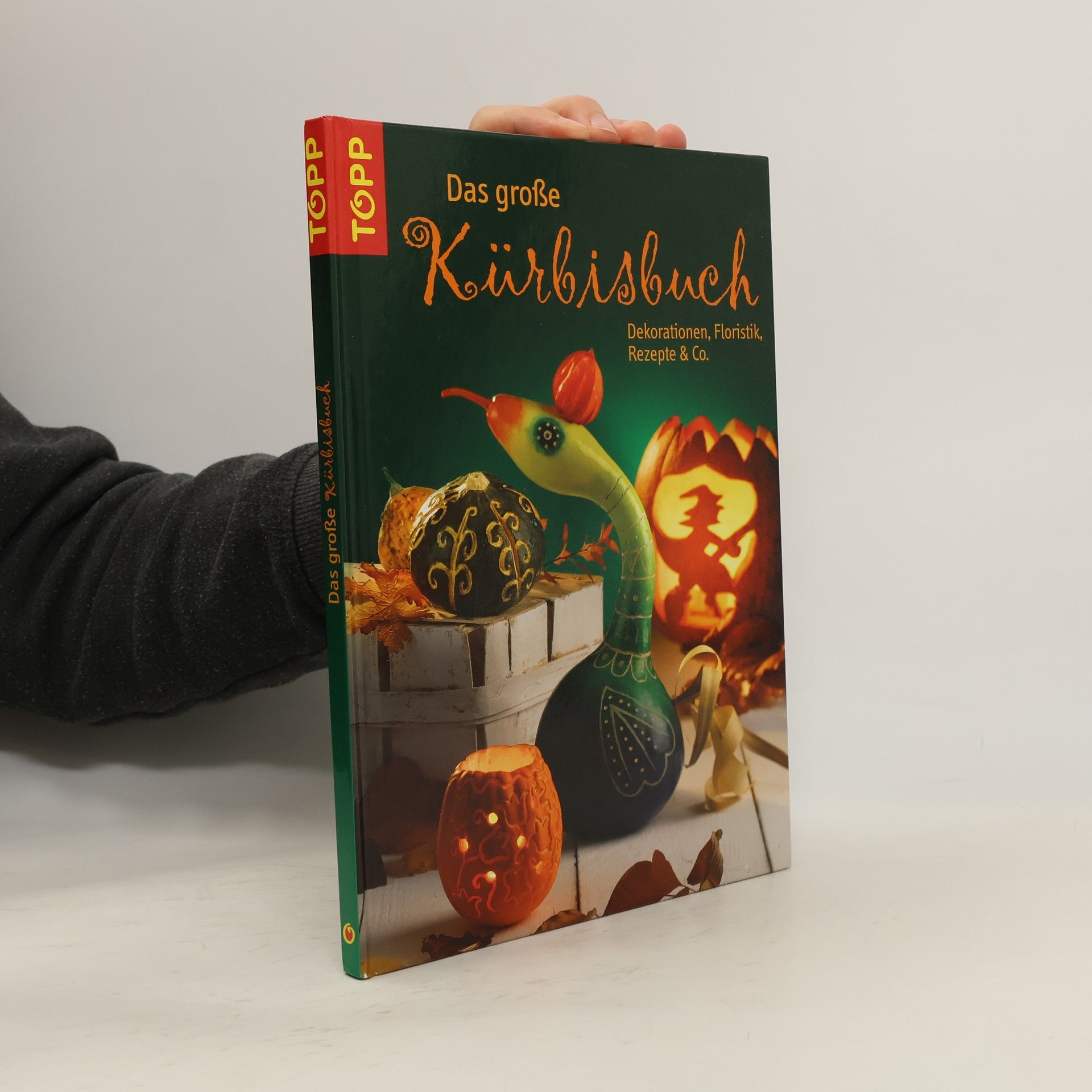 Sieglinde Holl Das große Kürbisbuch