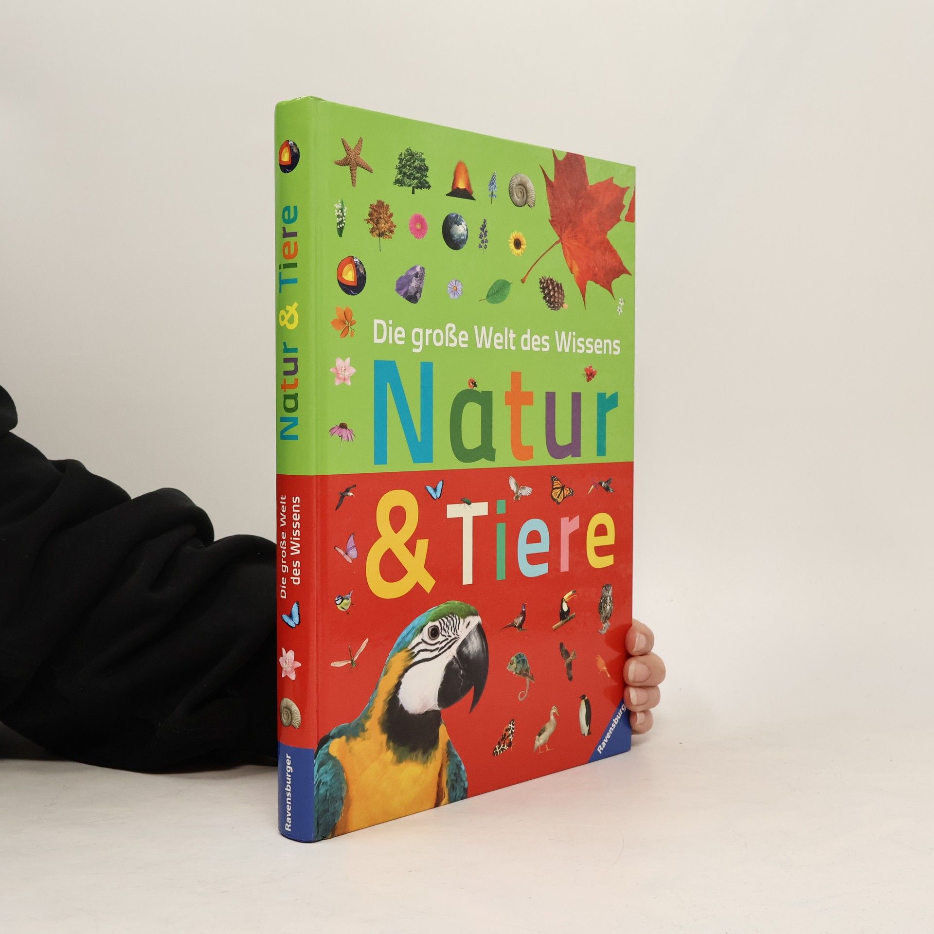 Collectif d'auteurs Die große Welt des Wissens: Natur & Tiere