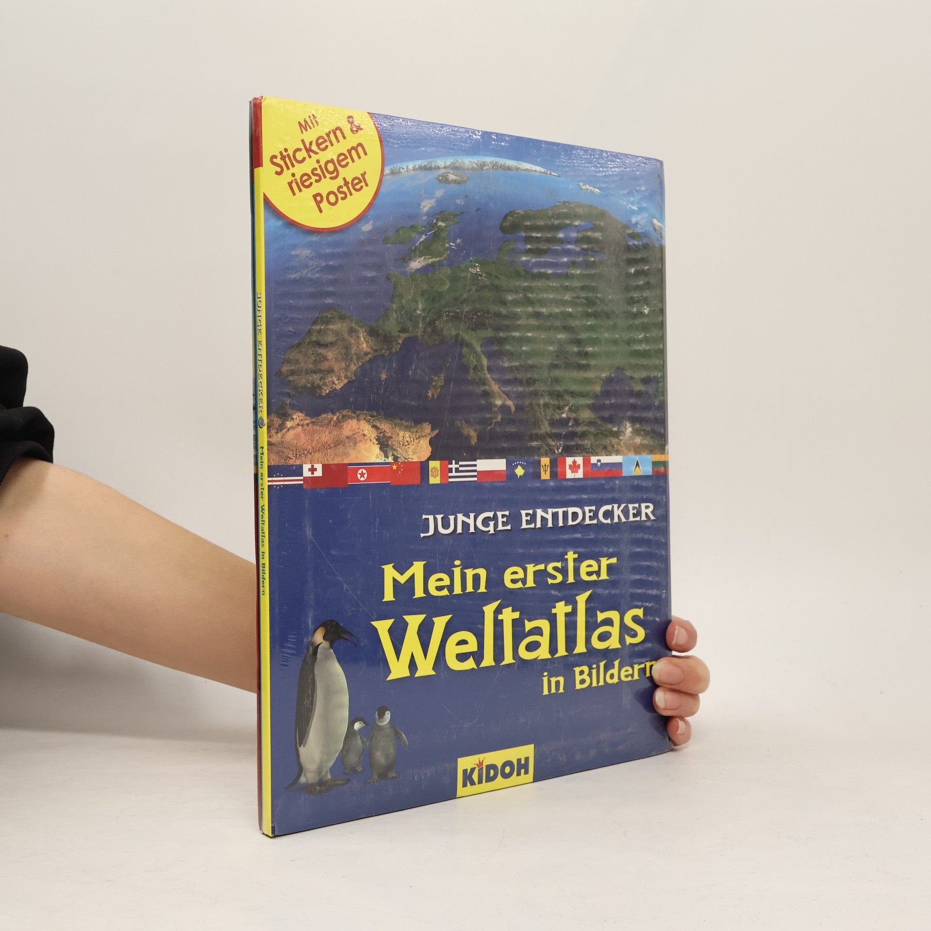 Collectif d'auteurs Junge Entdecker. Flaggen der Welt