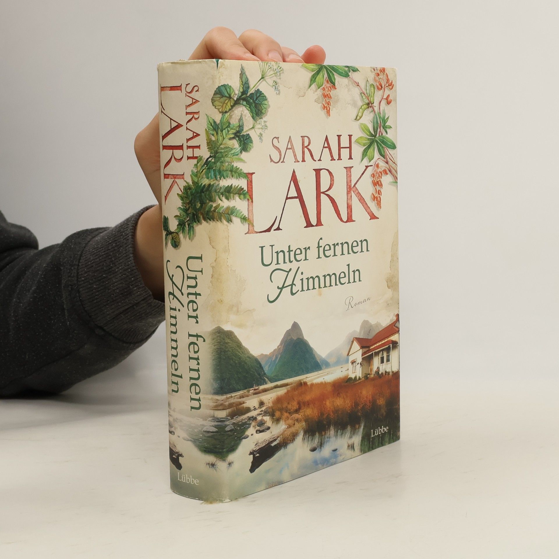 Christiane Gohl Unter fernen Himmeln